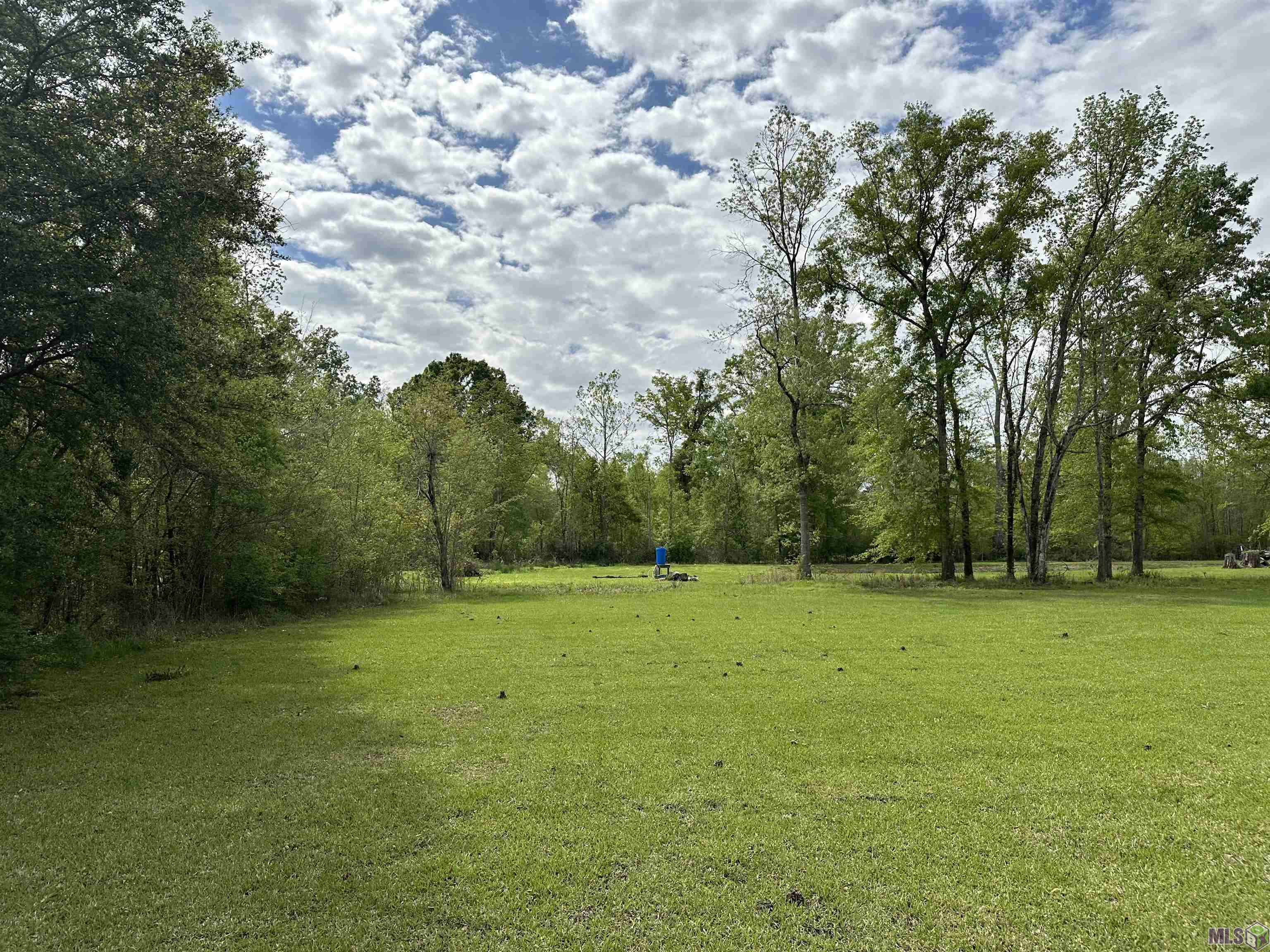 LOT 8B Tillotson Rd, Prairieville, Louisiana image 1