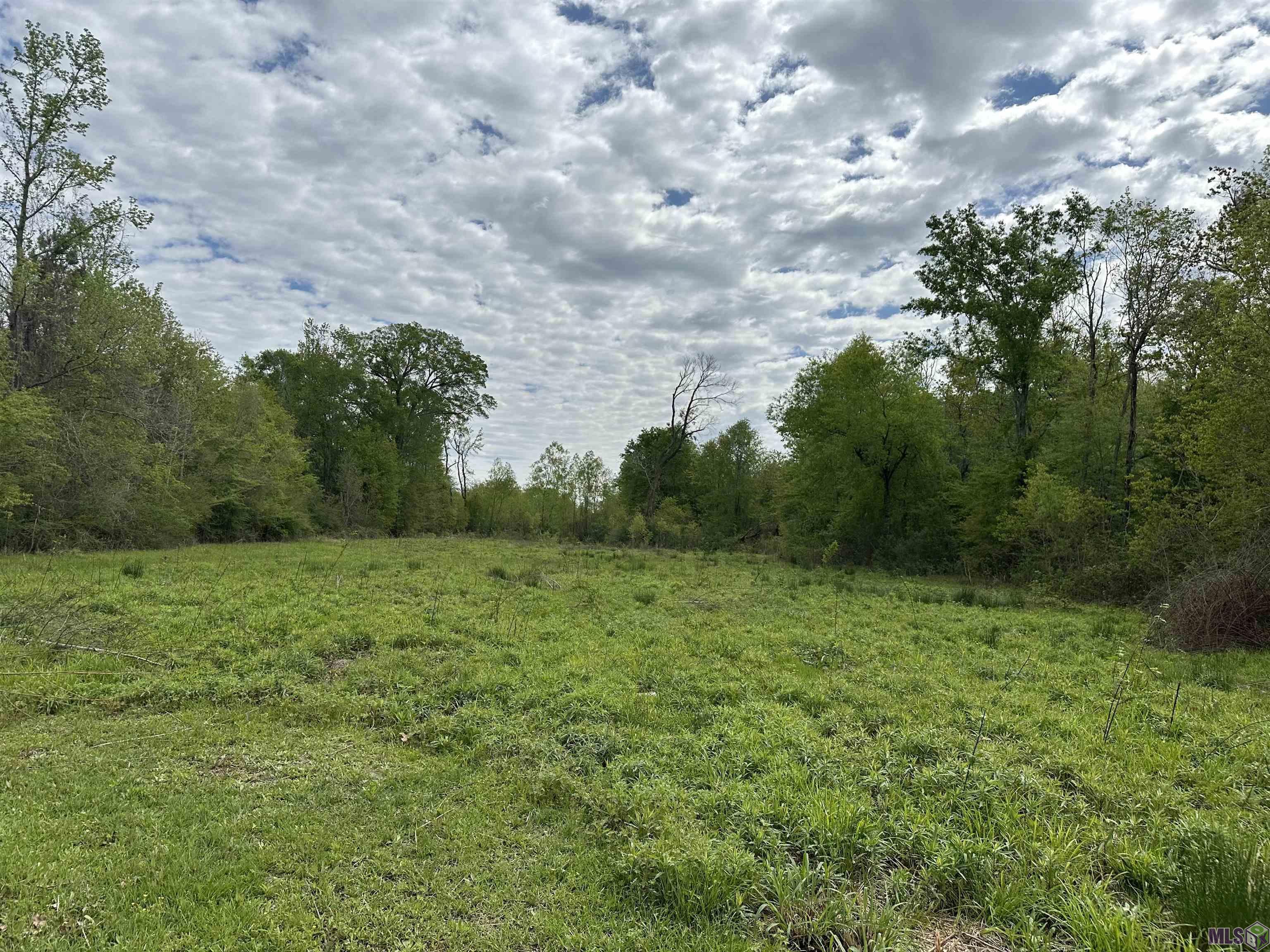 LOT 8B Tillotson Rd, Prairieville, Louisiana image 2