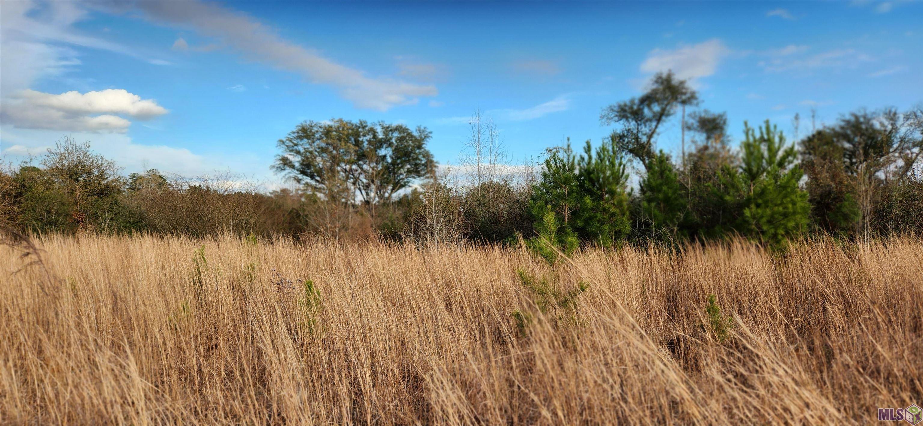 TBD-Tract 1 Gilead Rd, Clinton, Louisiana image 7