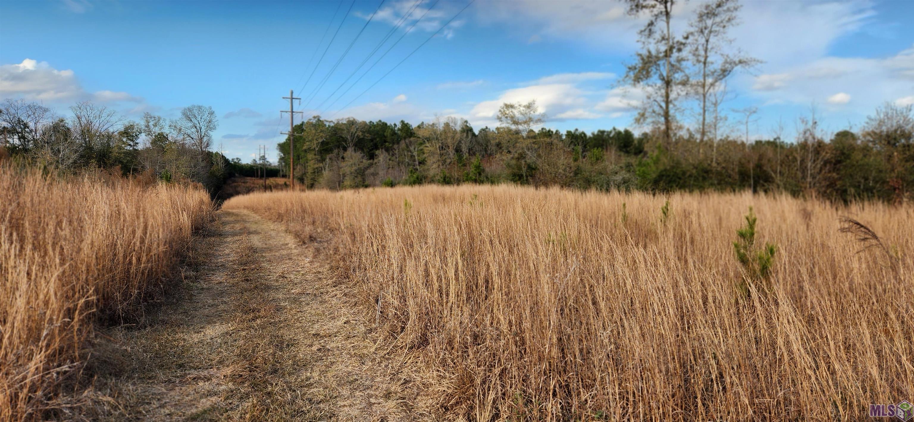 TBD-Tract 1 Gilead Rd, Clinton, Louisiana image 3