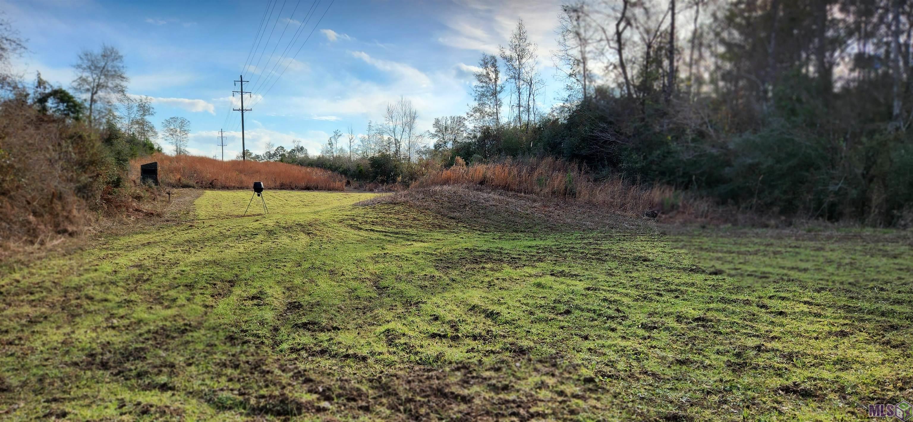 TBD-Tract 1 Gilead Rd, Clinton, Louisiana image 6