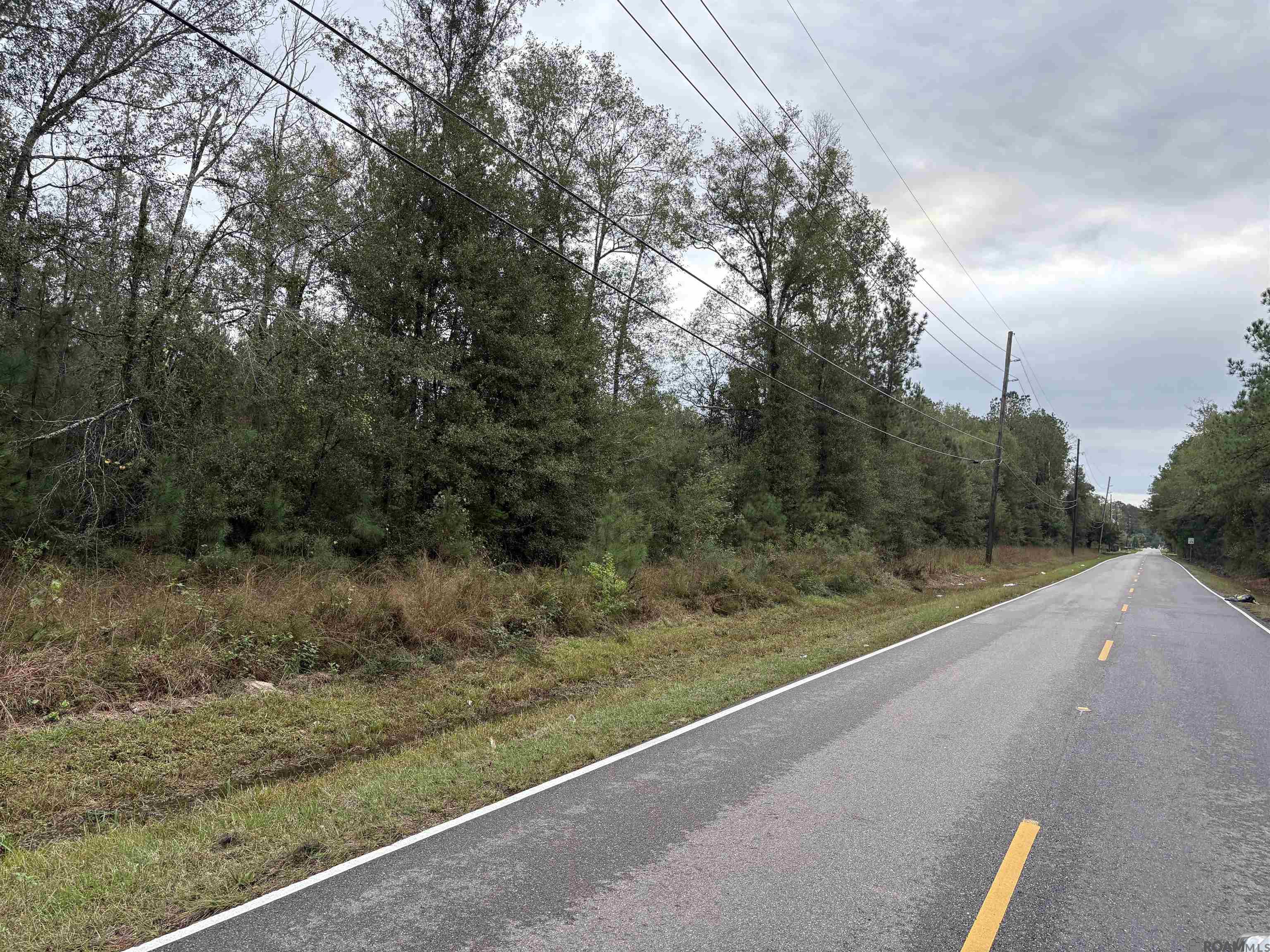 Tract C-1 Rufus Bankston Rd, Hammond, Louisiana image 3