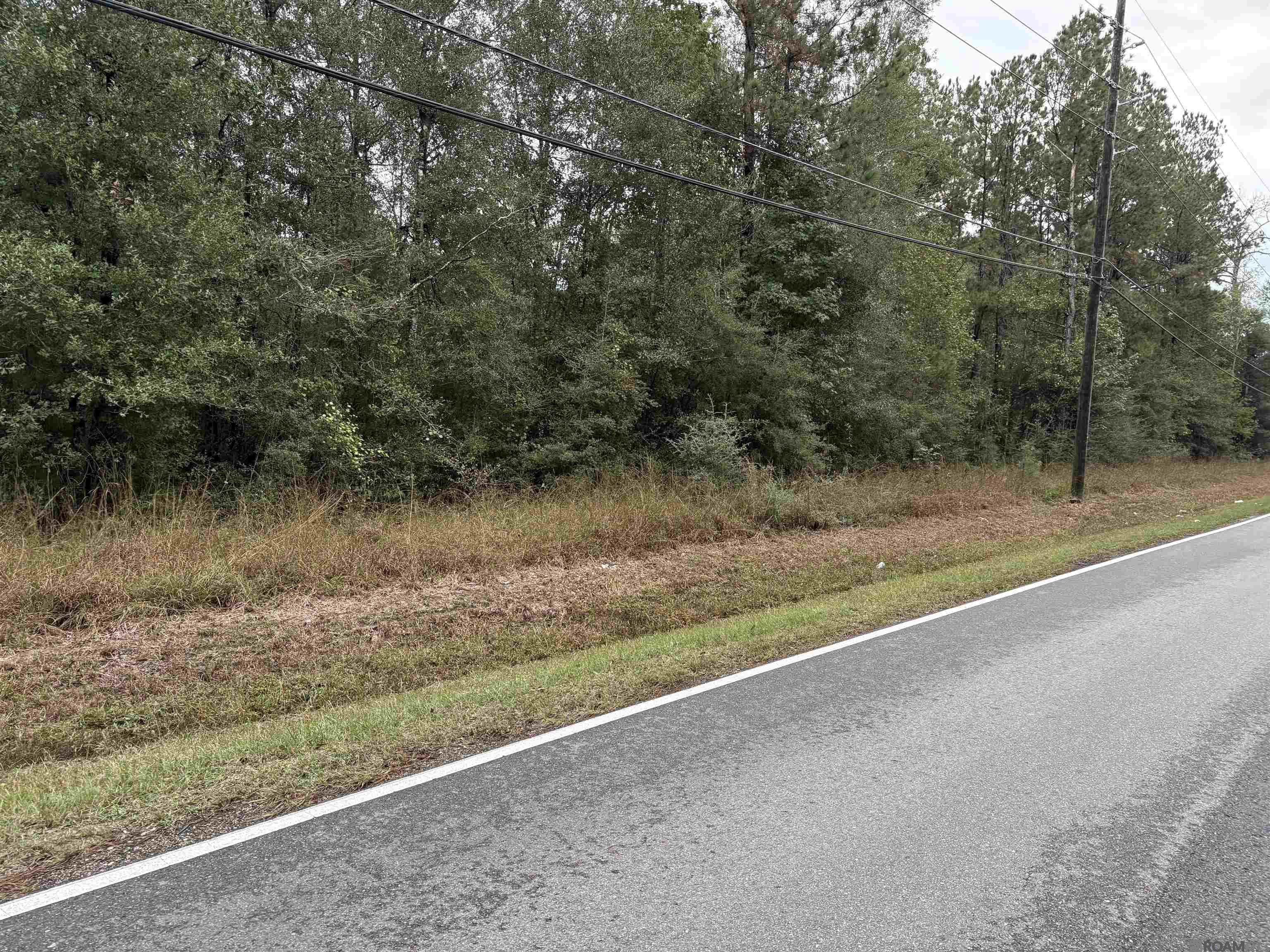 Tract C-1 Rufus Bankston Rd, Hammond, Louisiana image 1