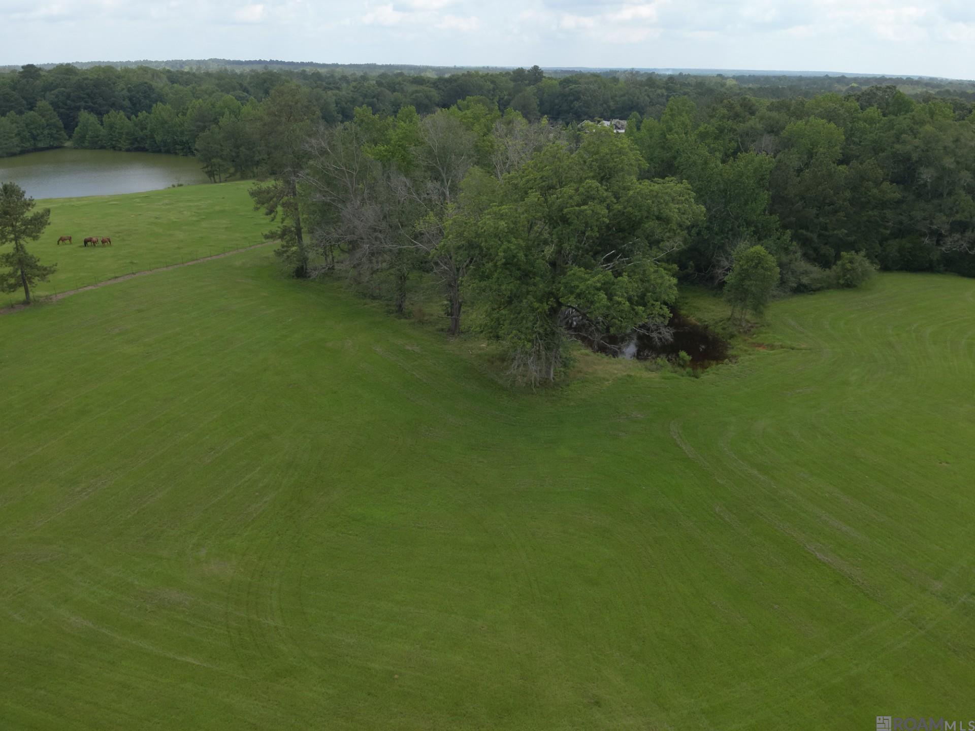 TBD La Hwy 422, Norwood, Louisiana image 6