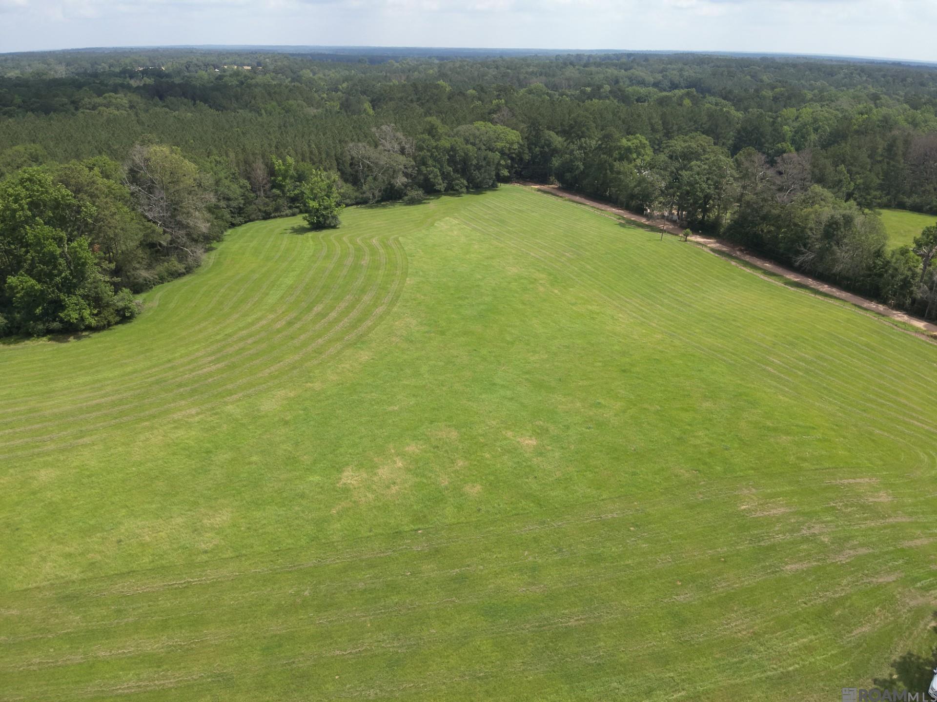 TBD La Hwy 422, Norwood, Louisiana image 4