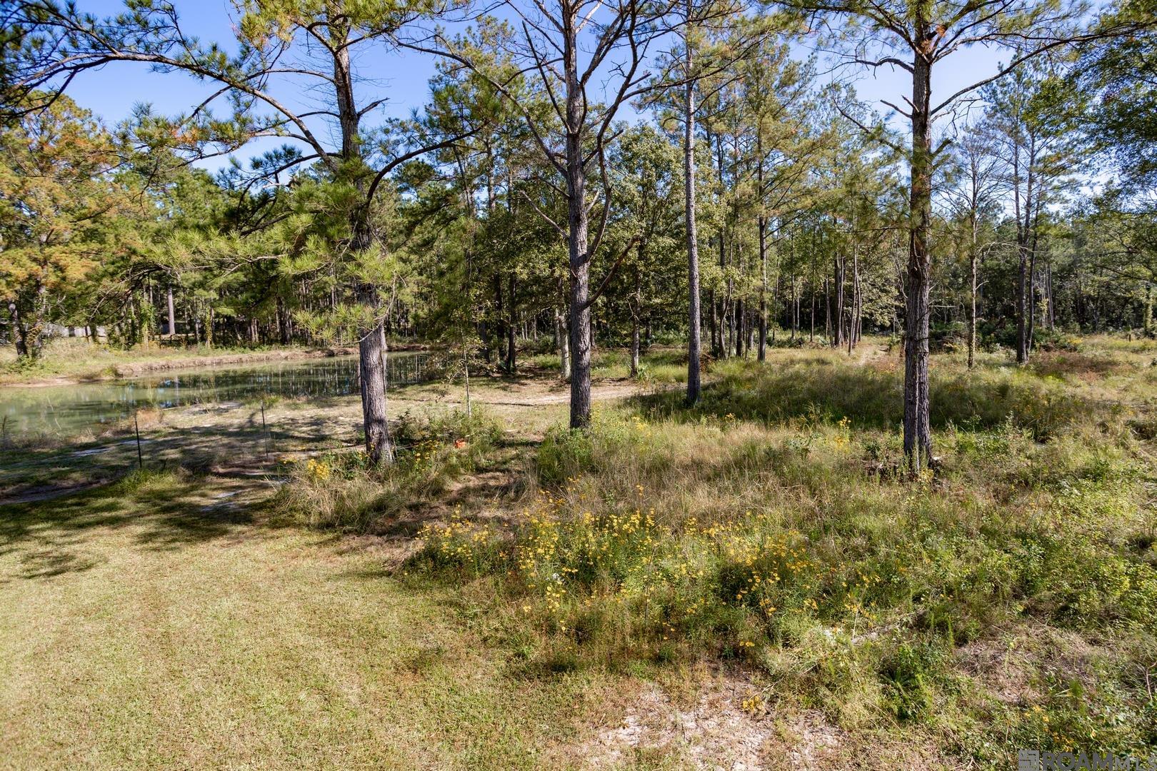 27582 S Frost Rd, Livingston, Louisiana image 46