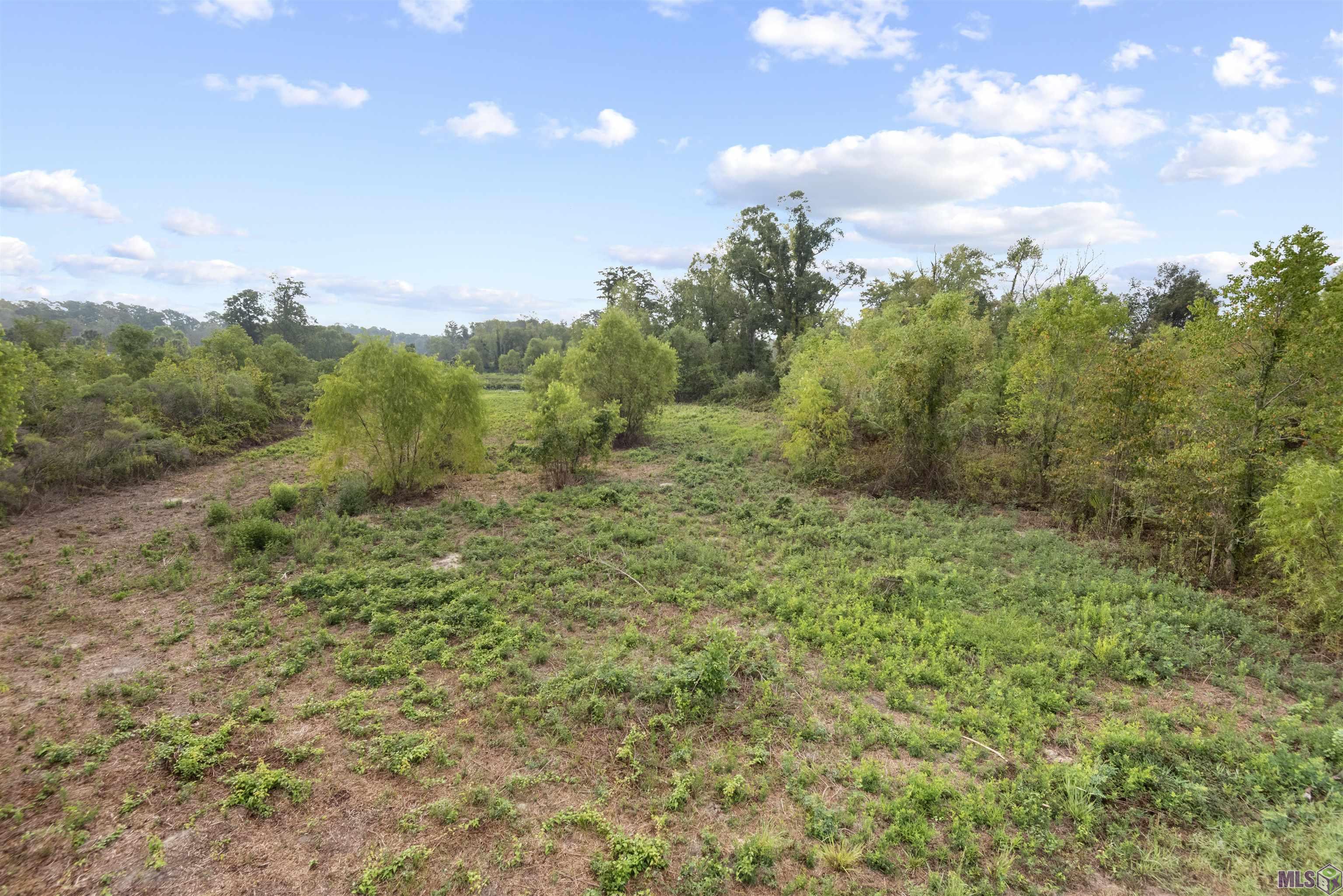 TBD Lot 23-A Amite Acres, Prairieville, Louisiana image 1