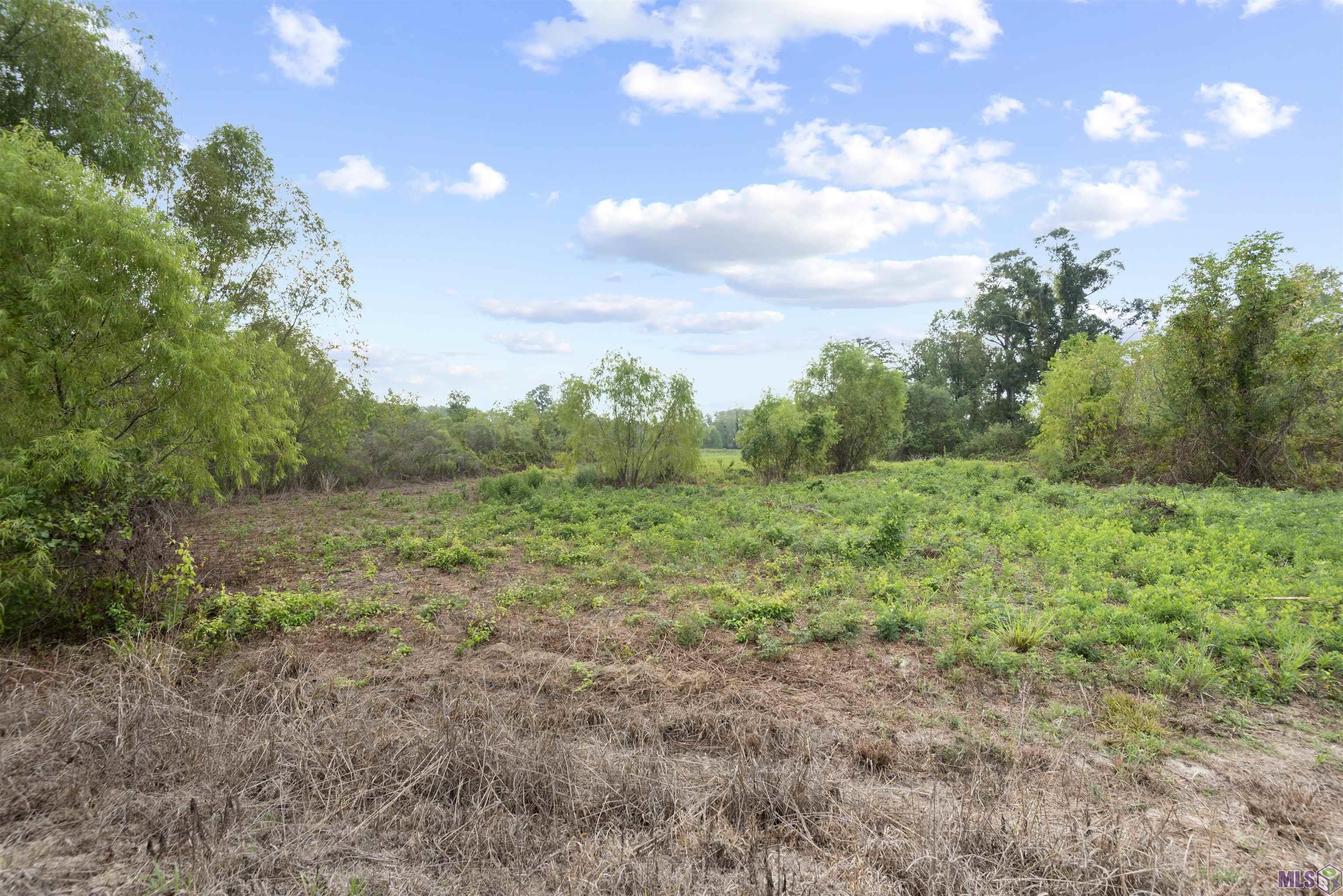 TBD Lot 23-A Amite Acres, Prairieville, Louisiana image 2