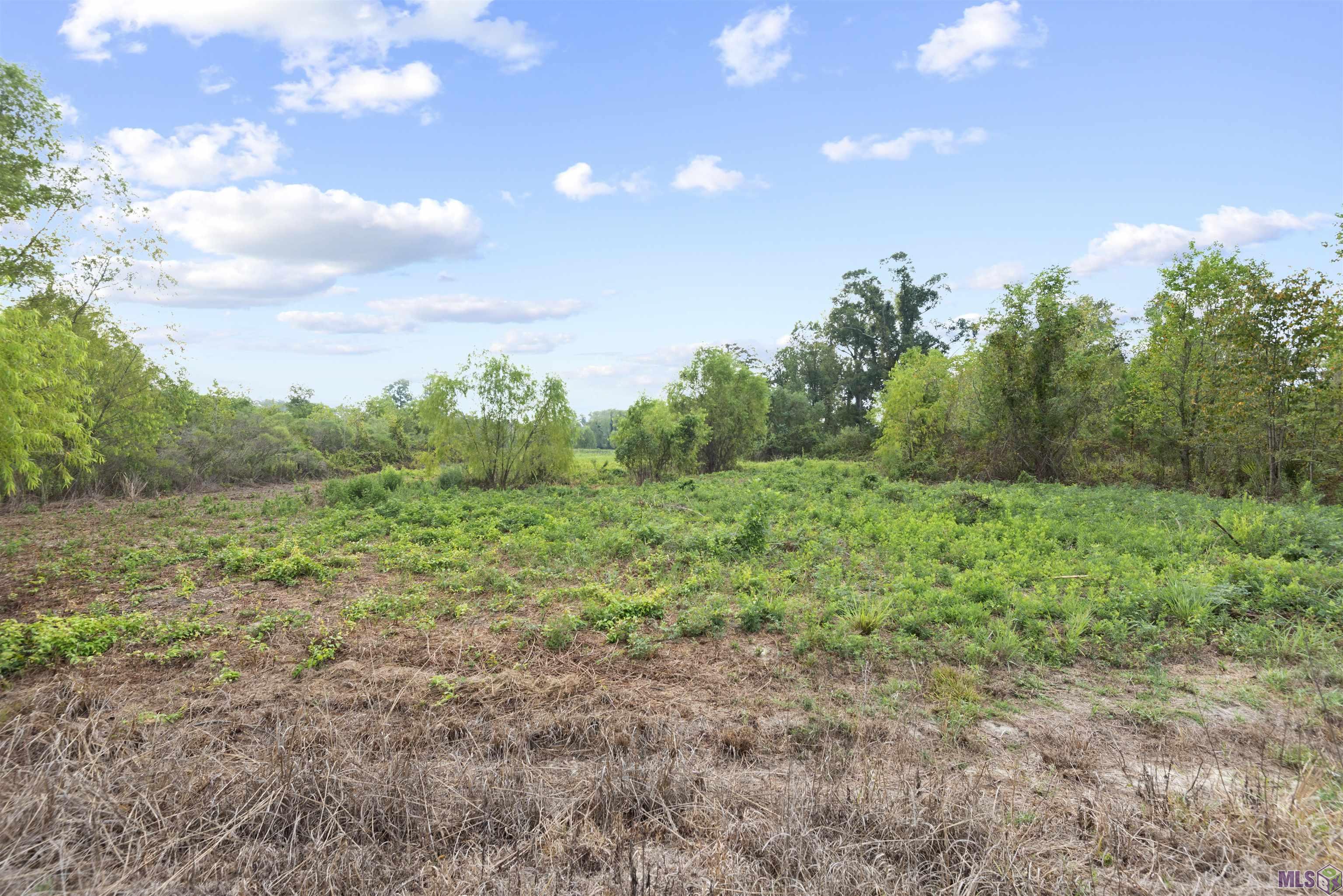 TBD Lot 23-A Amite Acres, Prairieville, Louisiana image 4