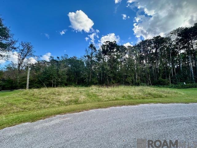 19348 Plantation Trace Dr, Livingston, Louisiana image 2