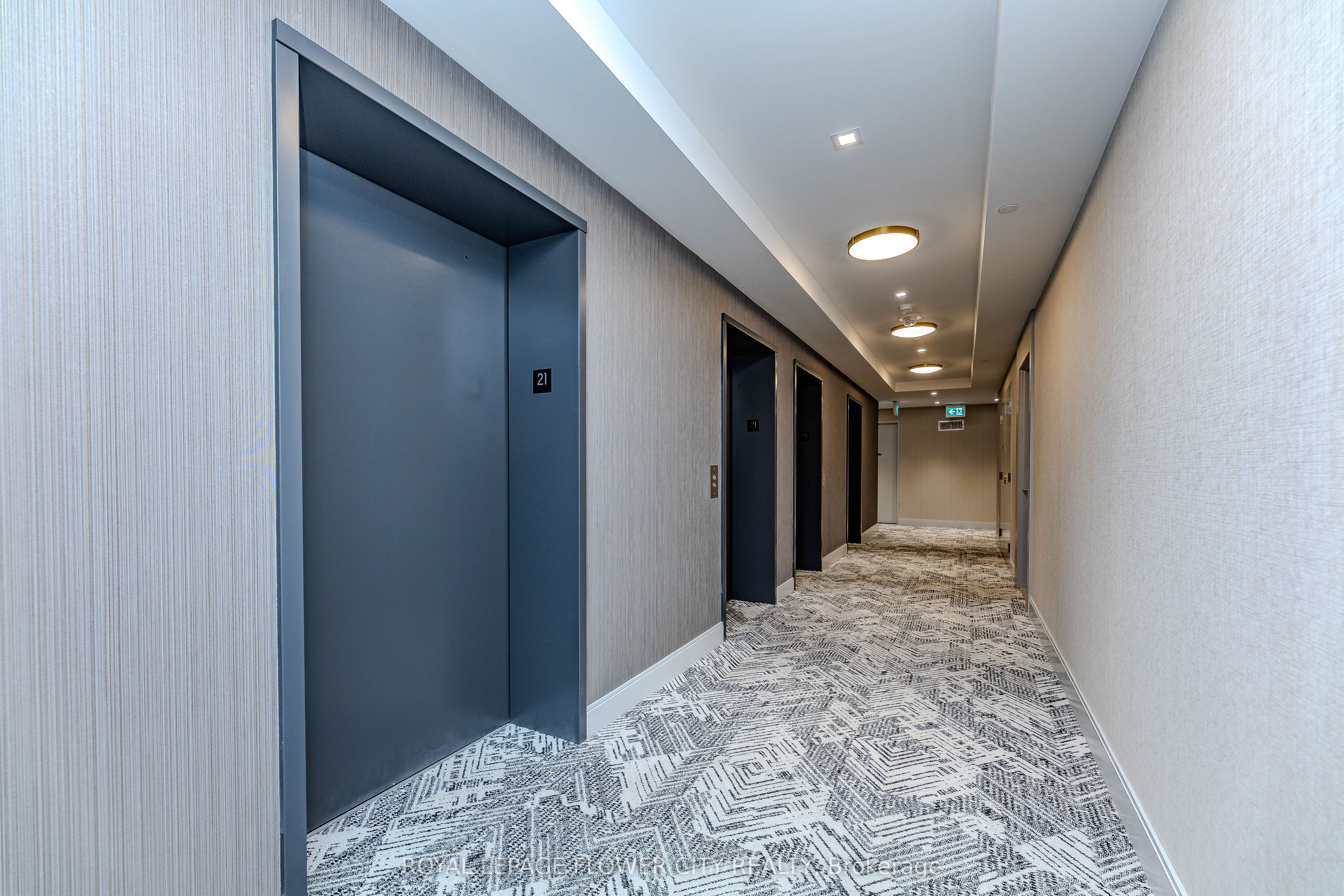 8 Widmer Street 2115