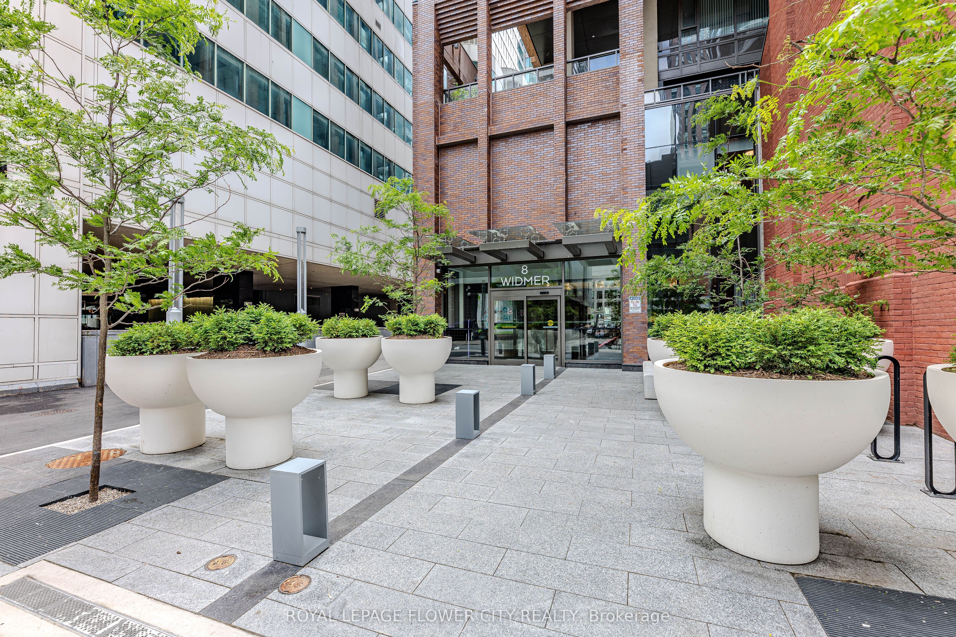 8 Widmer Street 2115