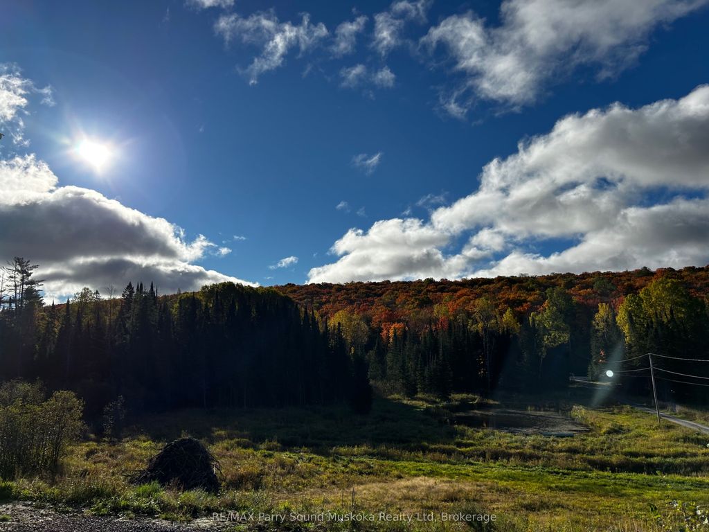 Photo of 556 Highway 518 N/A W, Perry, ON P0A 1J0 (MLS # X12691342)