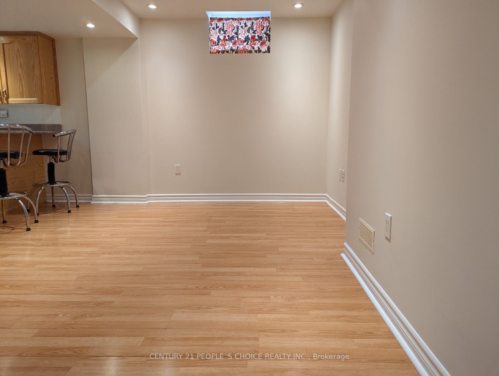 33 Pinecone Drive Basement