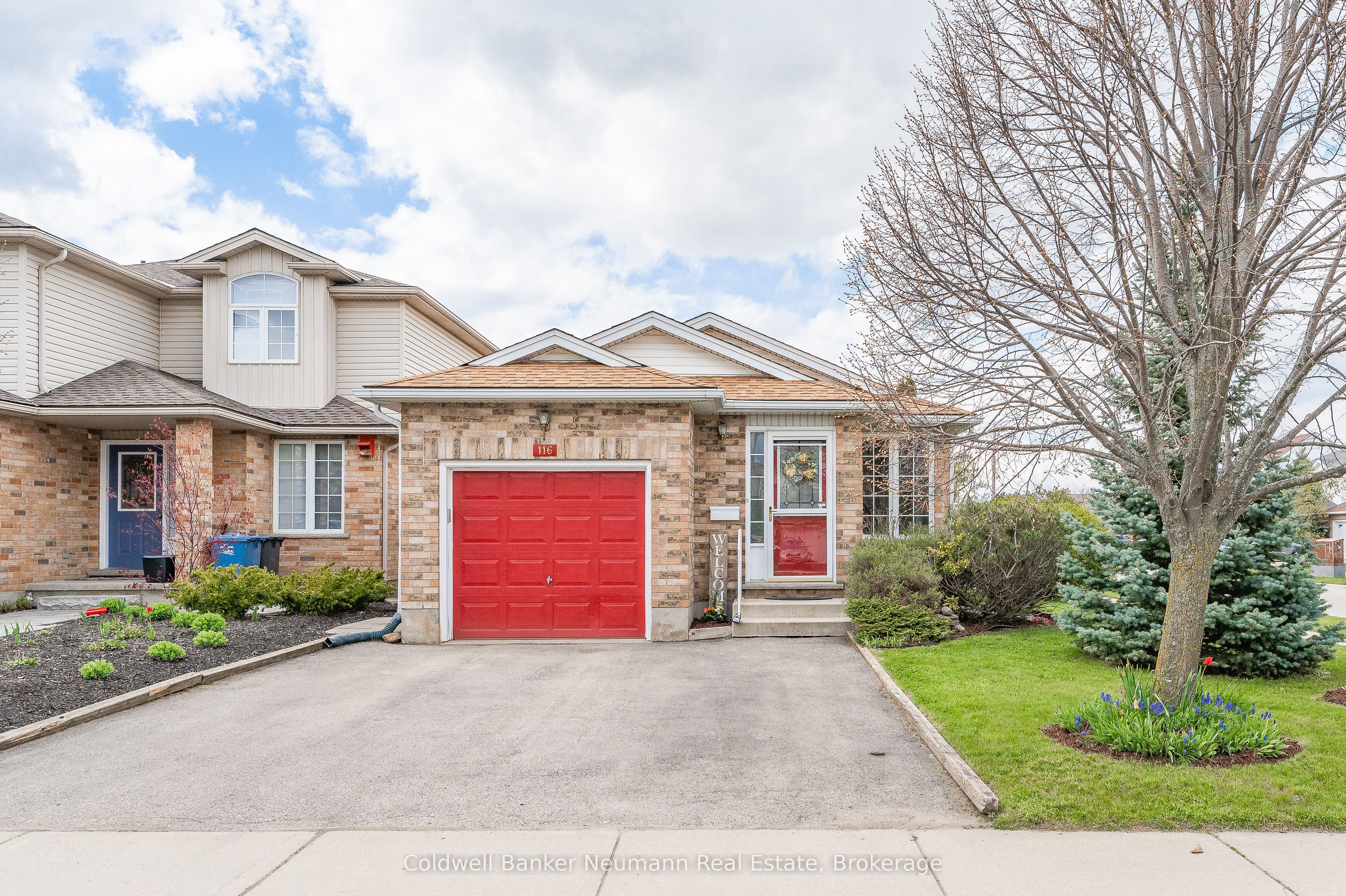116 Doyle Drive