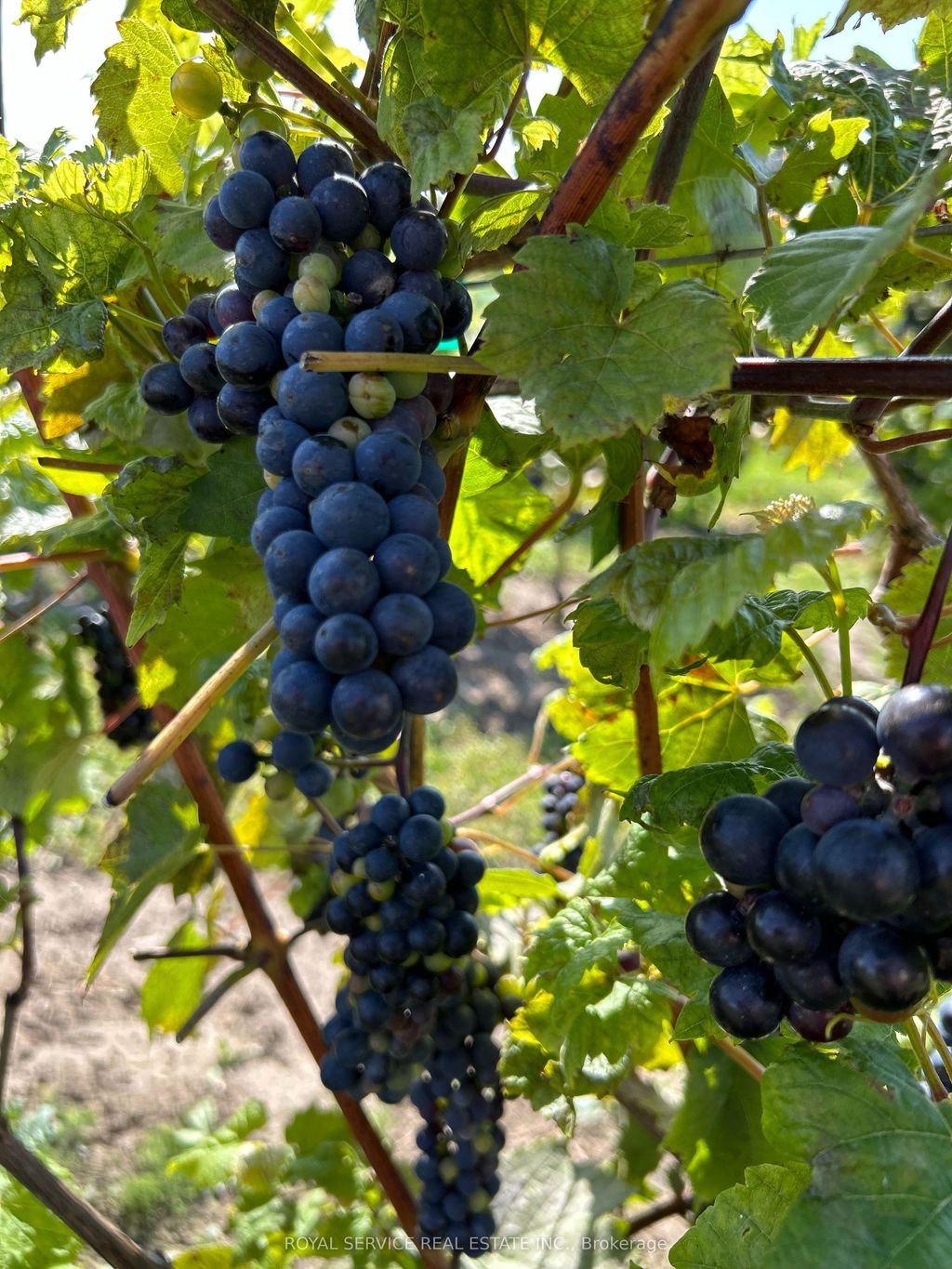 Photo of 3775 Ganaraska Road, Clarington, ON L0B 1M0 (MLS # E13042436)