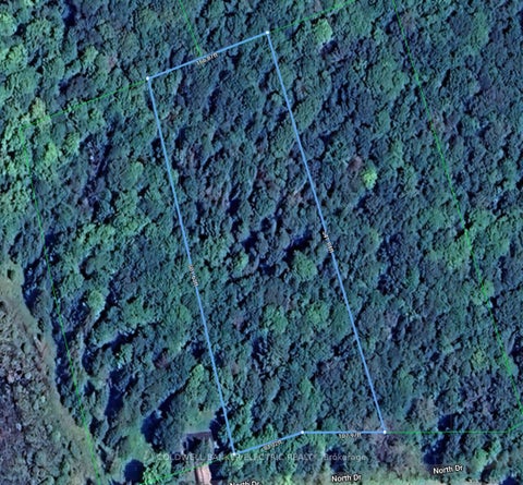 Featured picture for the property X13066898
