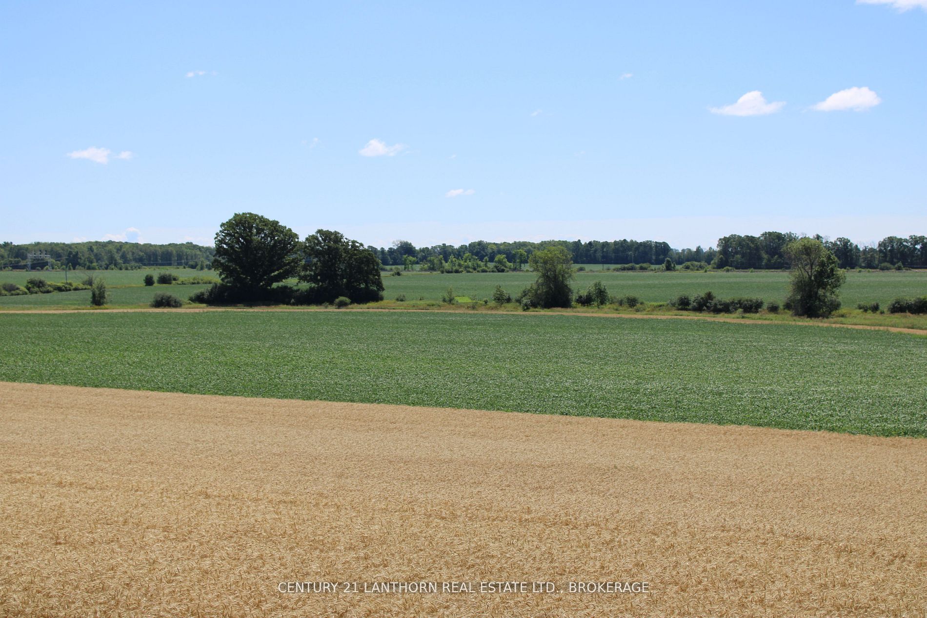 LT15-16 County Road 1 N/A W