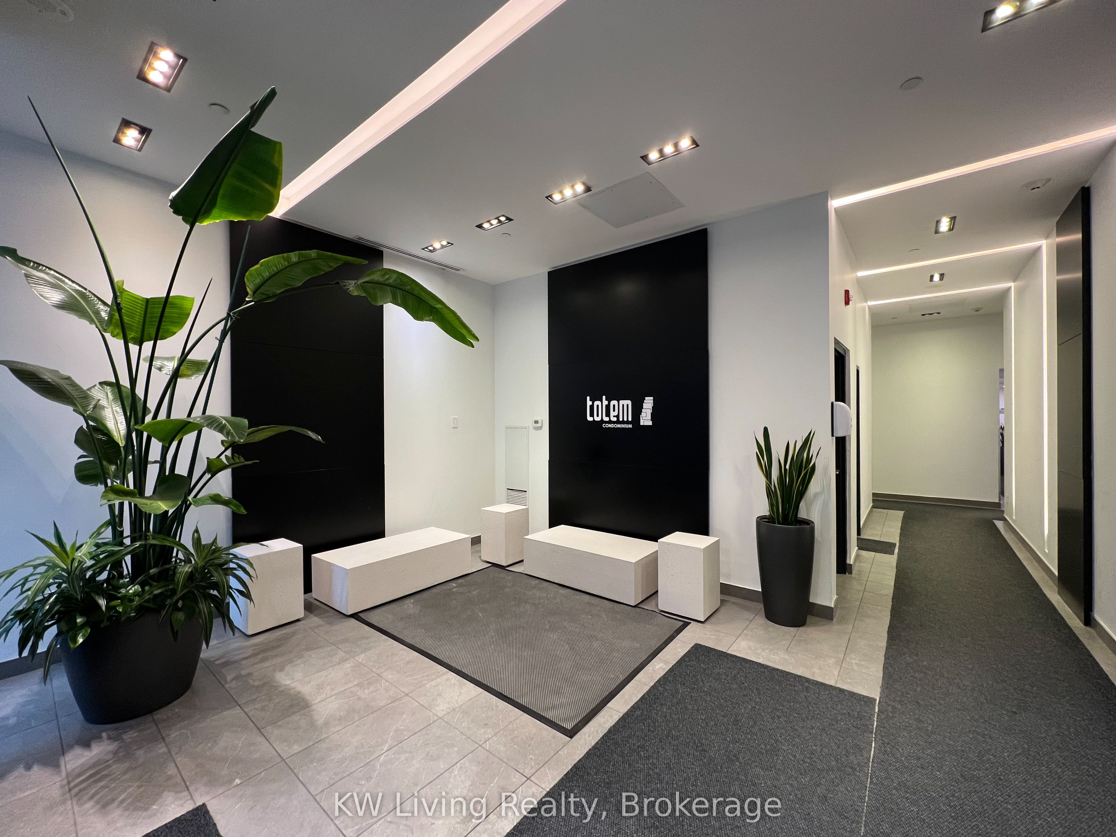 17 Dundonald Street 1007