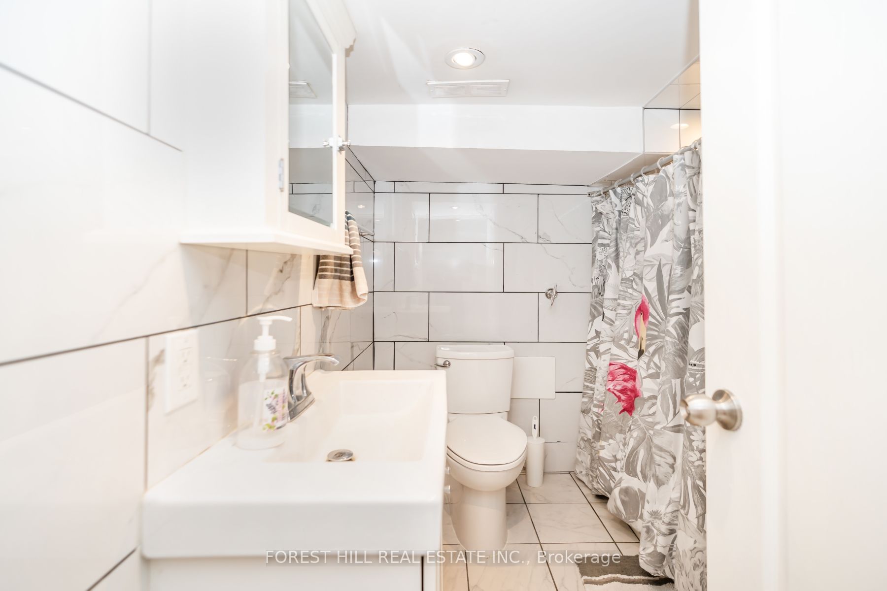 224 Palmerston Avenue Lower