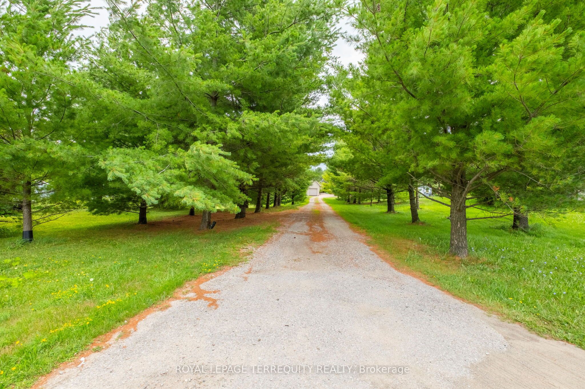 1041 15 Side Road