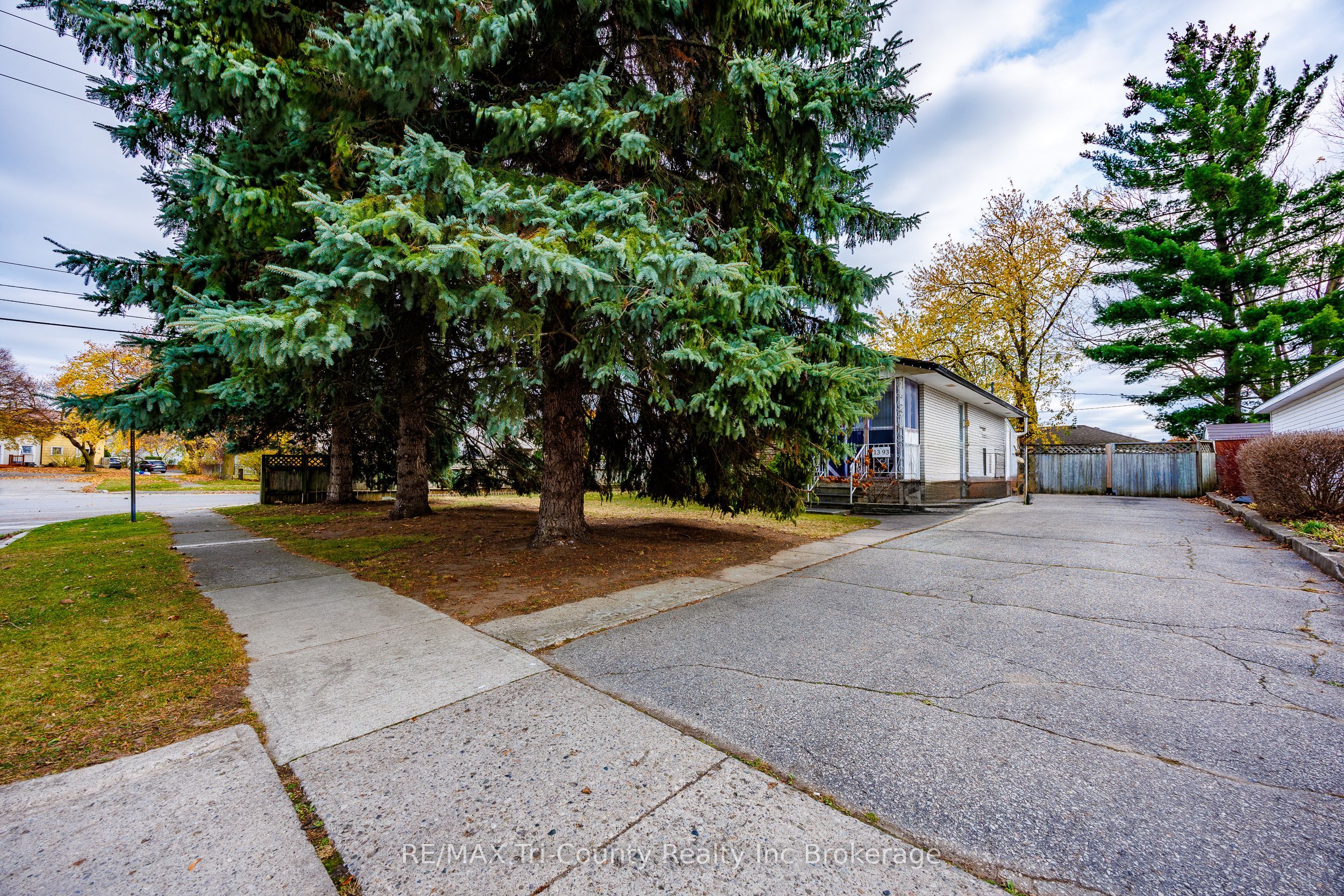 1393 Thorman Drive
