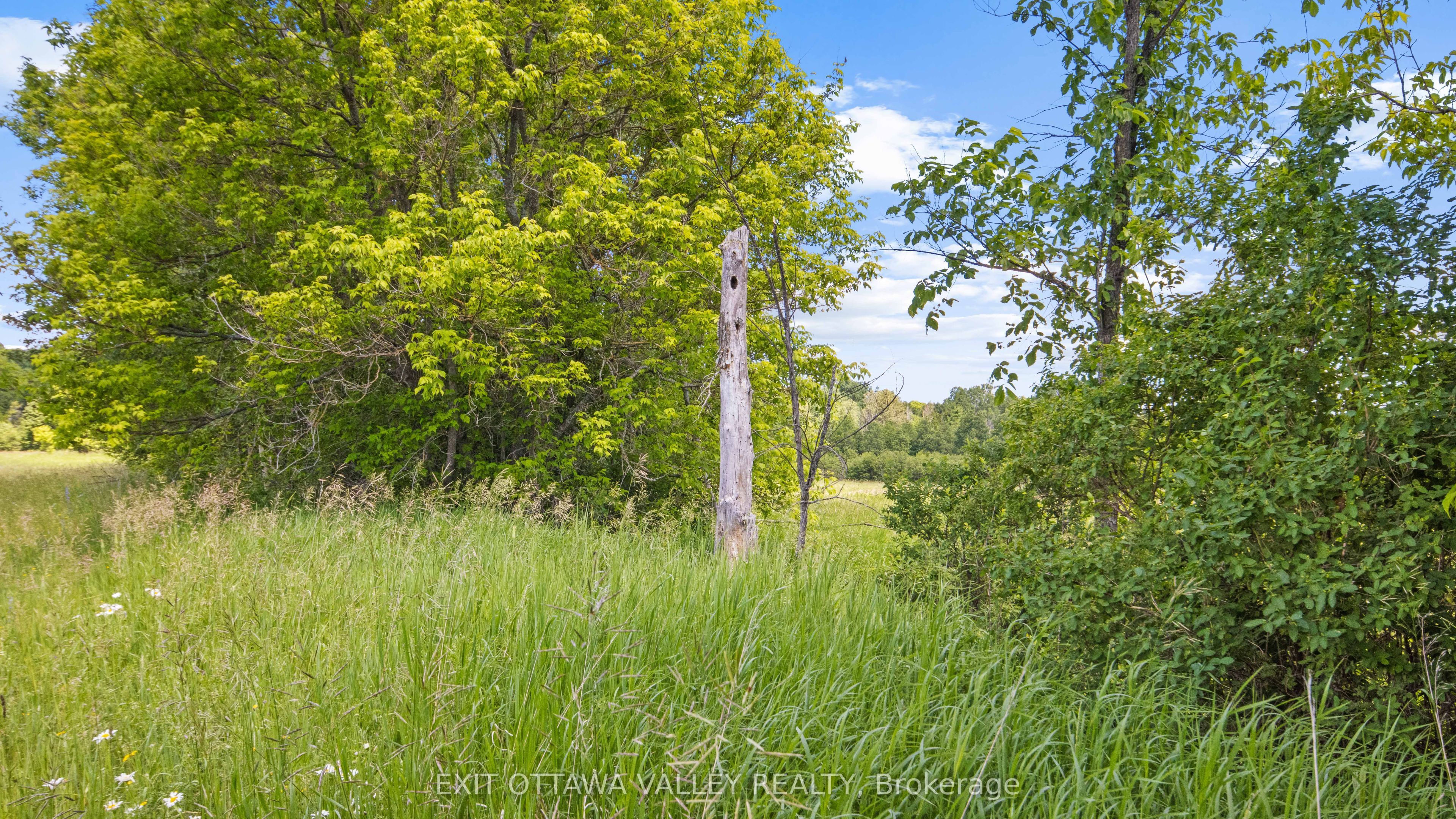 3510 Foymount Road - Photo 3