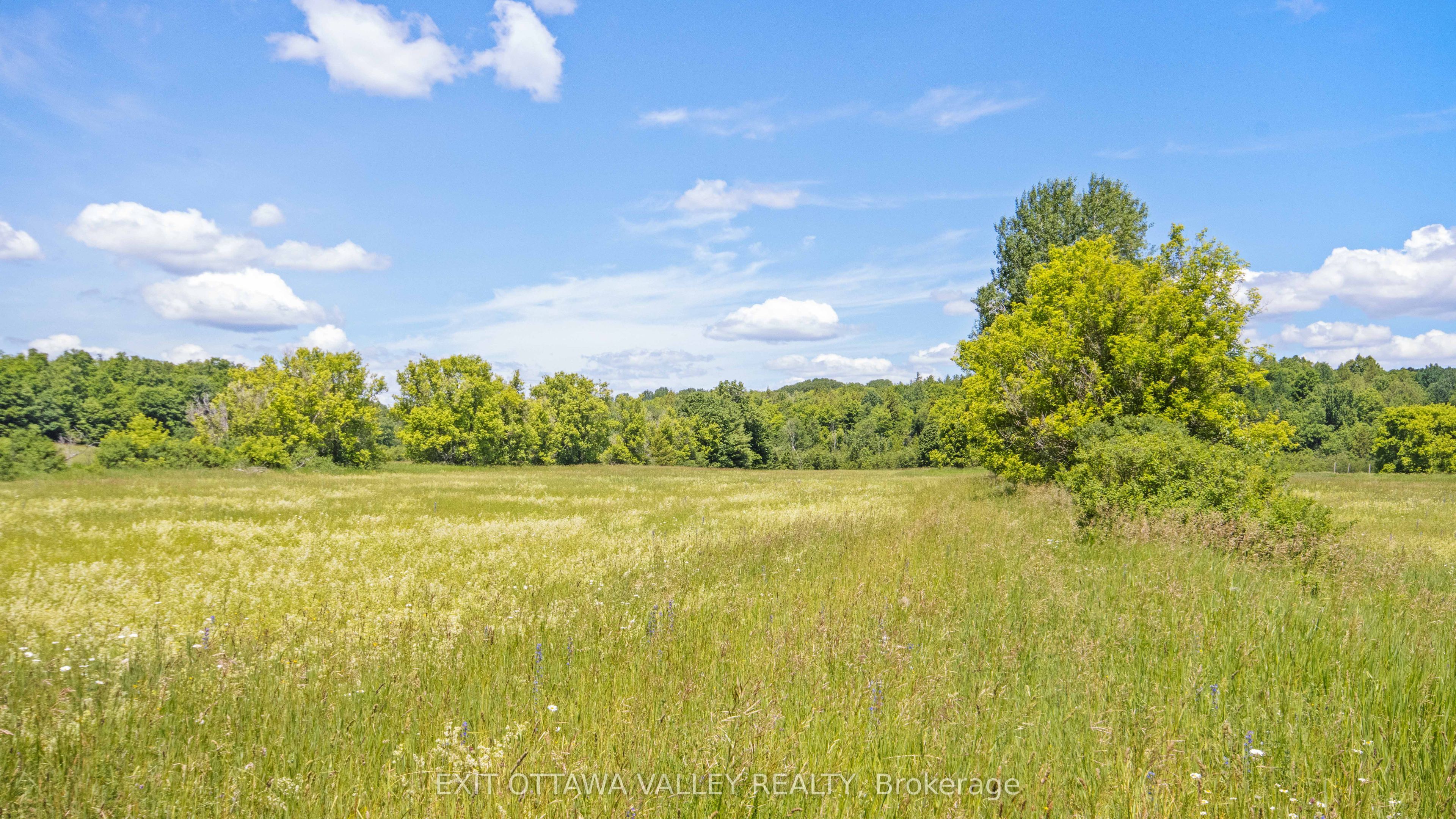 3510 Foymount Road - Photo 2