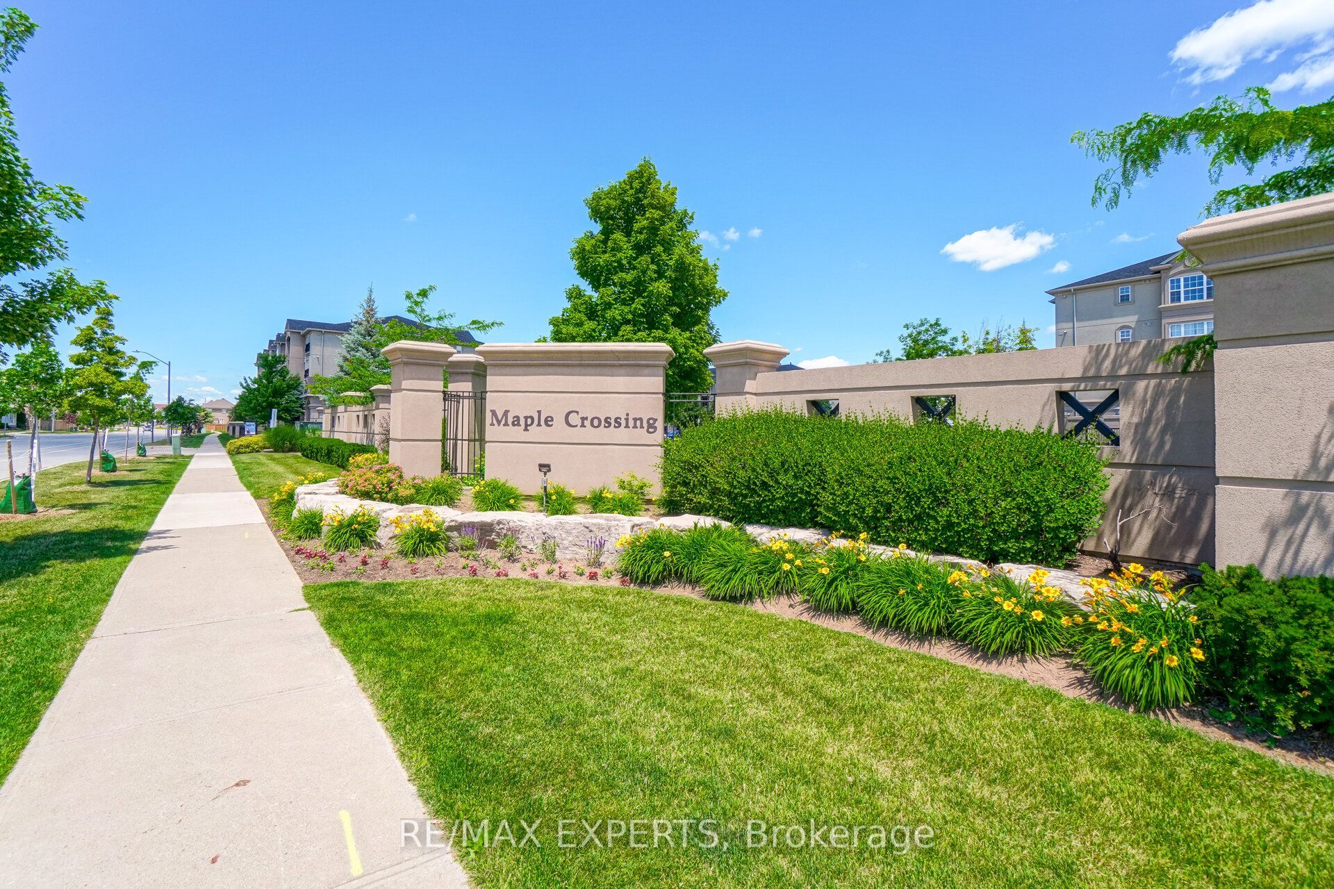 1491 Maple Avenue 206