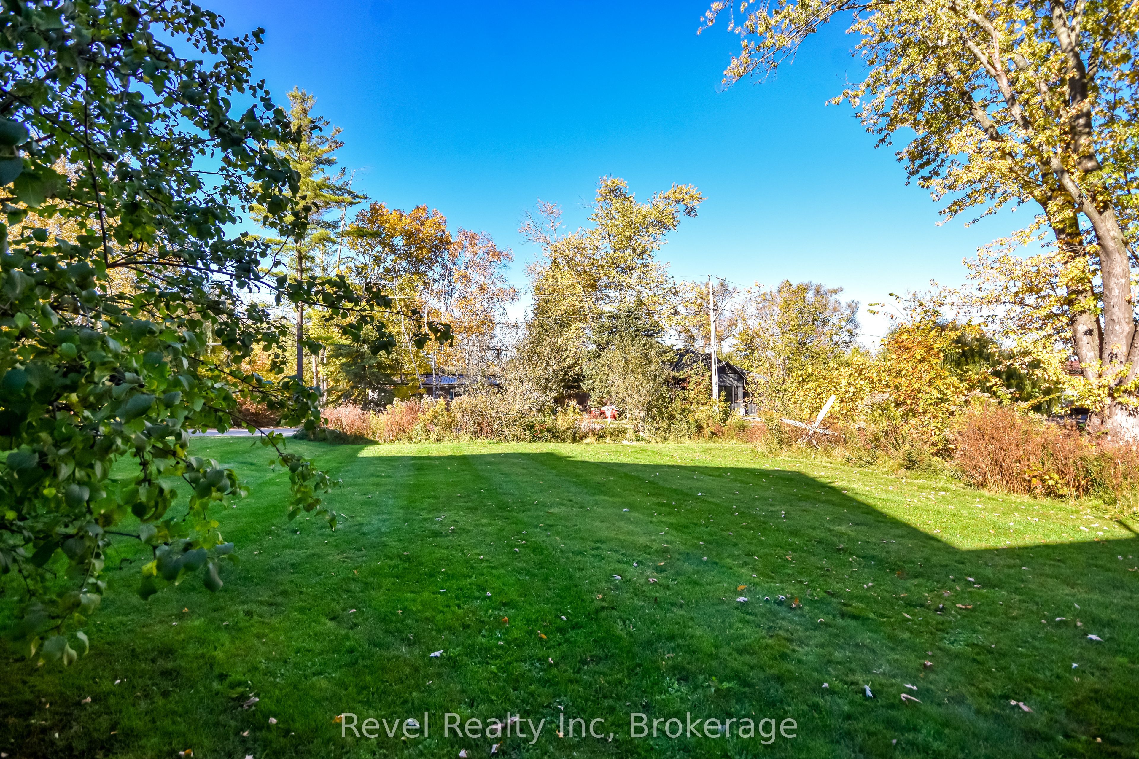 2366 Tall Tree Lane