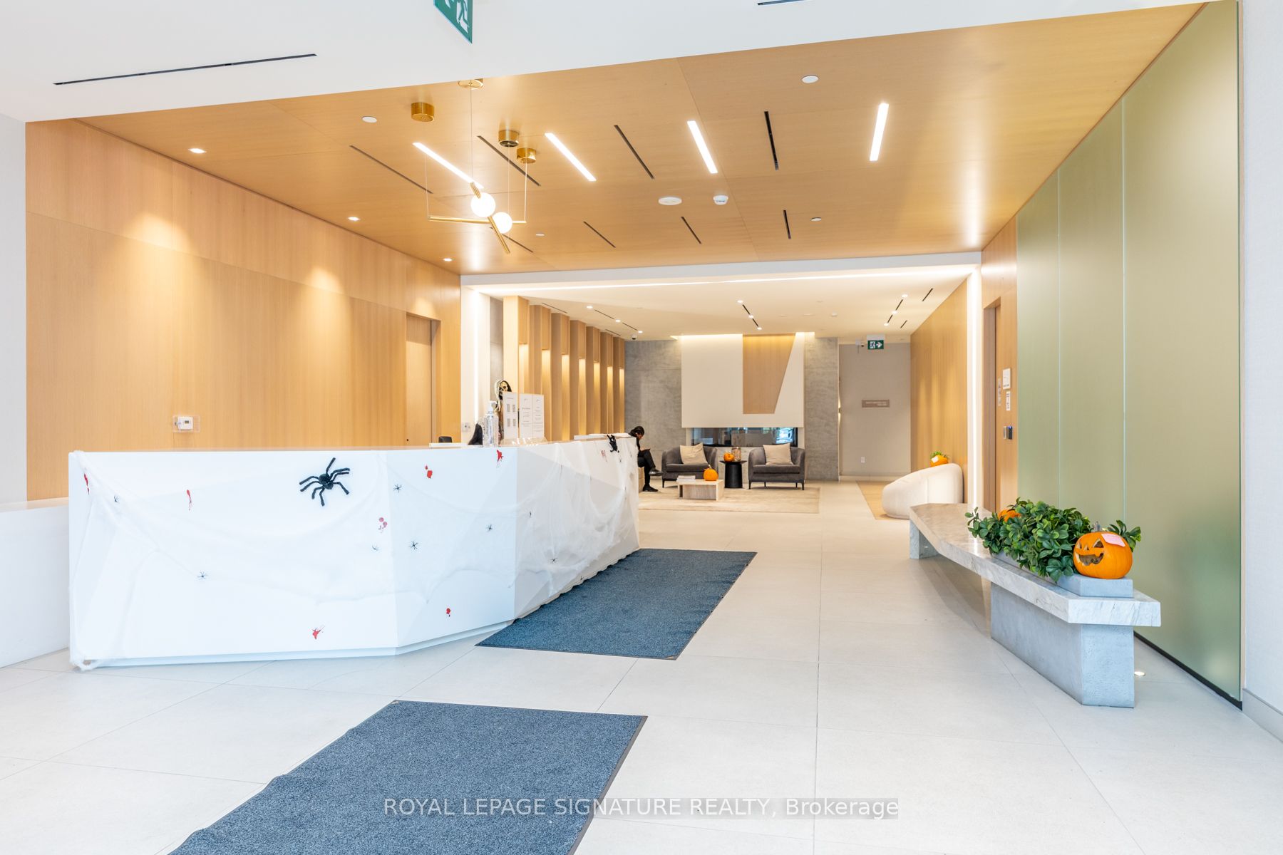 5 Defries Street 2911