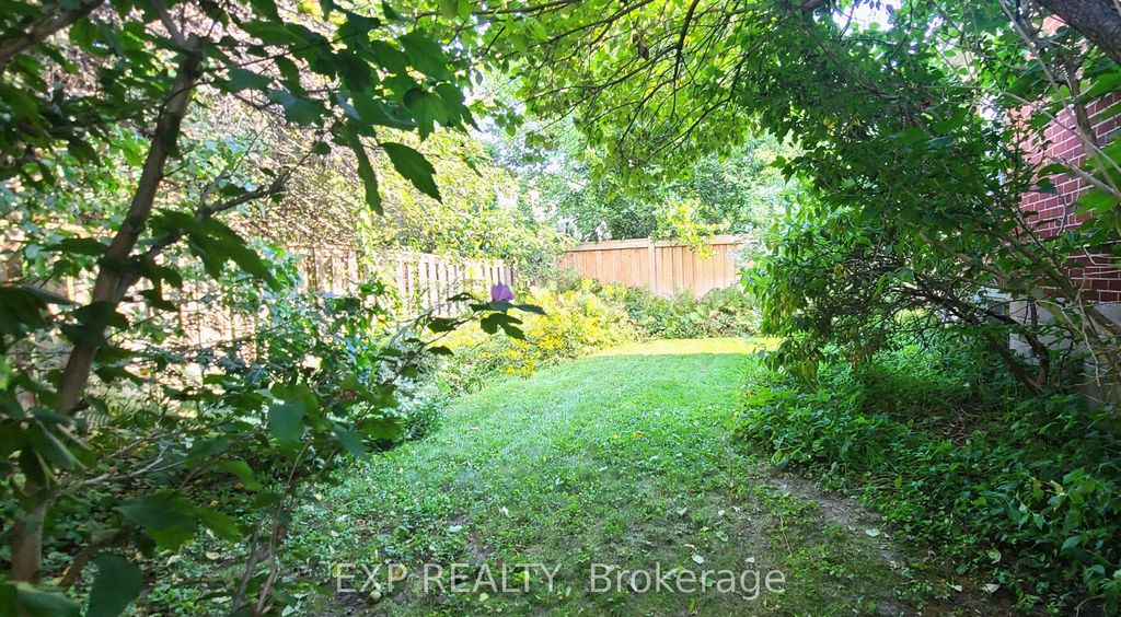 Photo of 25 Mcclinchy Avenue, Toronto, ON M8X 2H9 (MLS # W12277464)