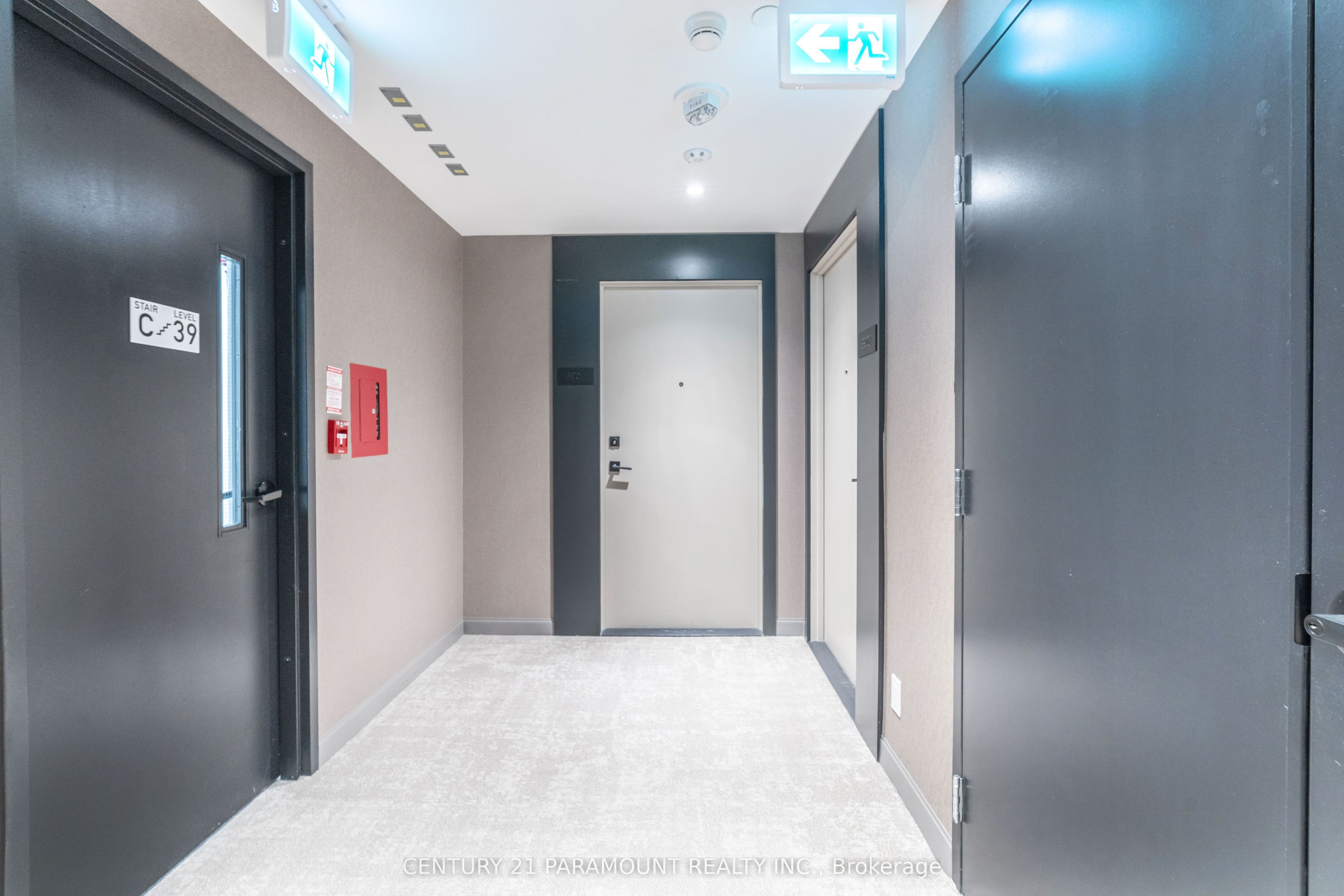 55 Mercer Street 3902