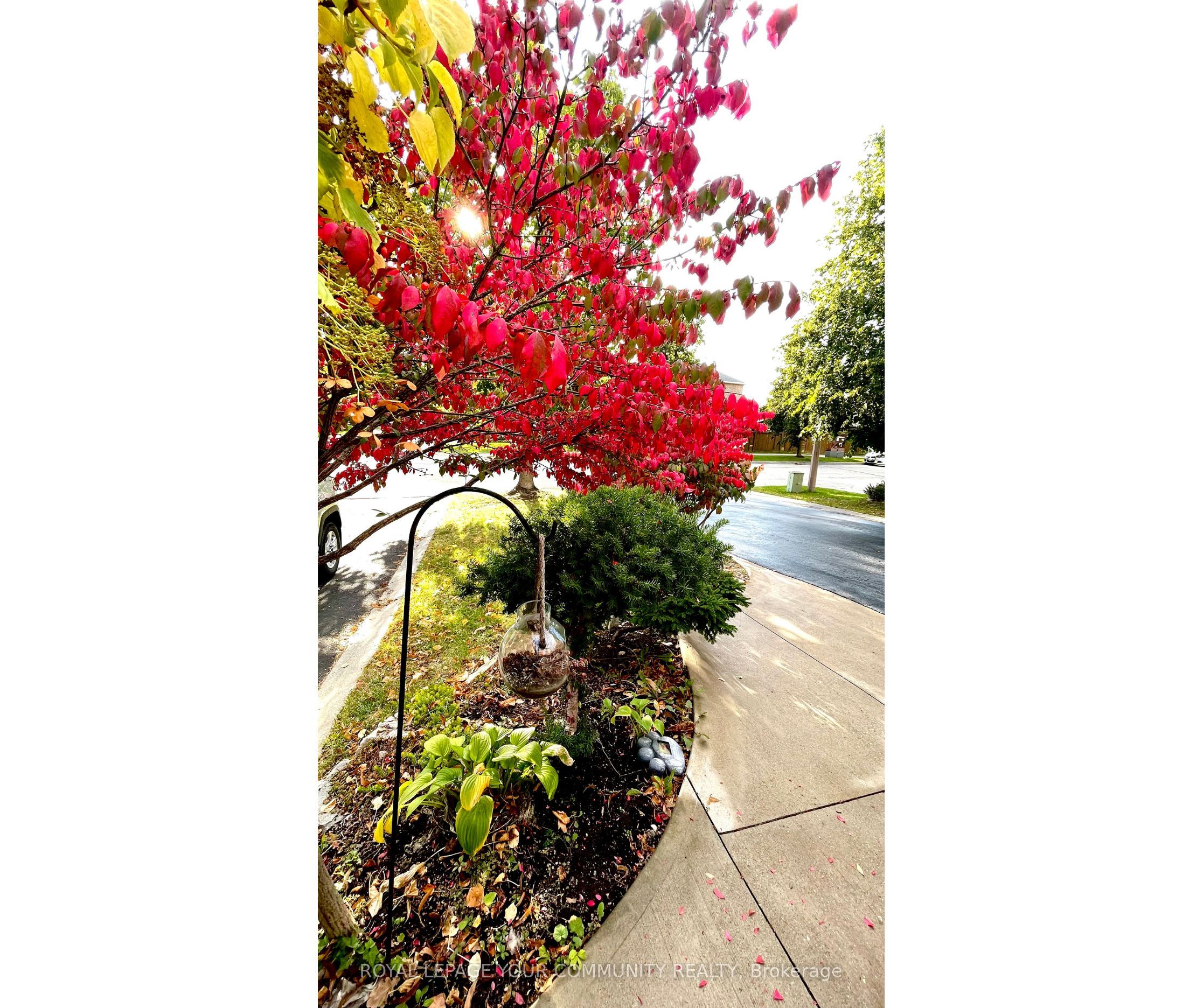 31 Giotto Crescent SW