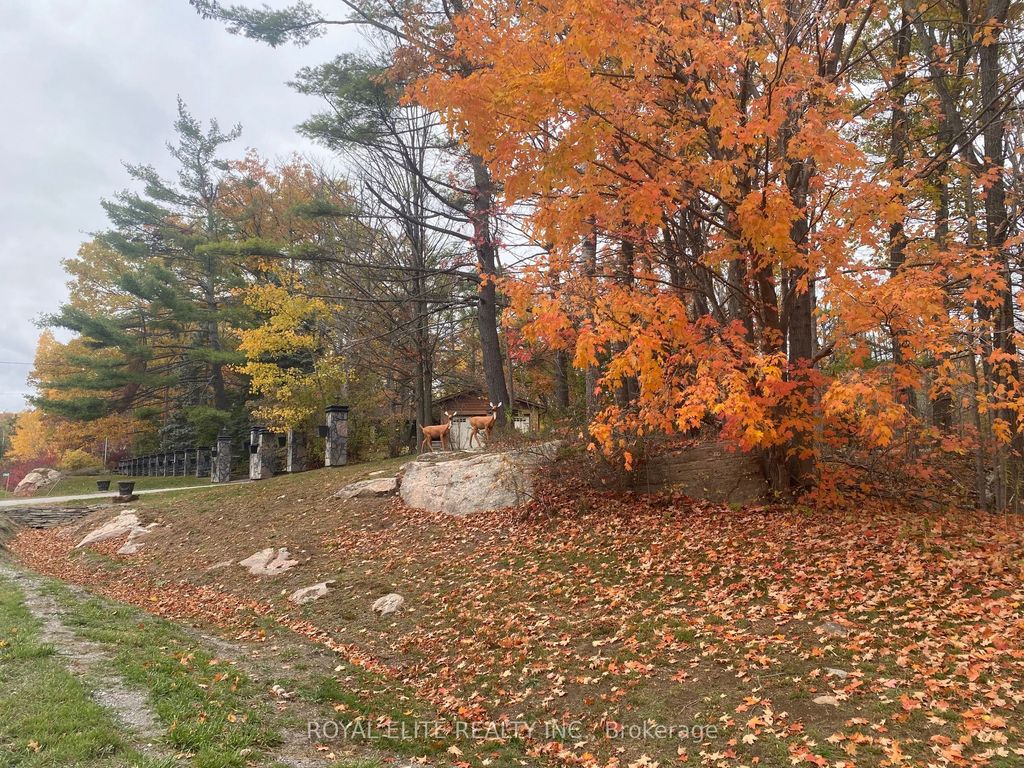 Photo of 2943 County Rd 36 N/A, Trent Lakes, ON K0L 1J0 (MLS # X12583994)