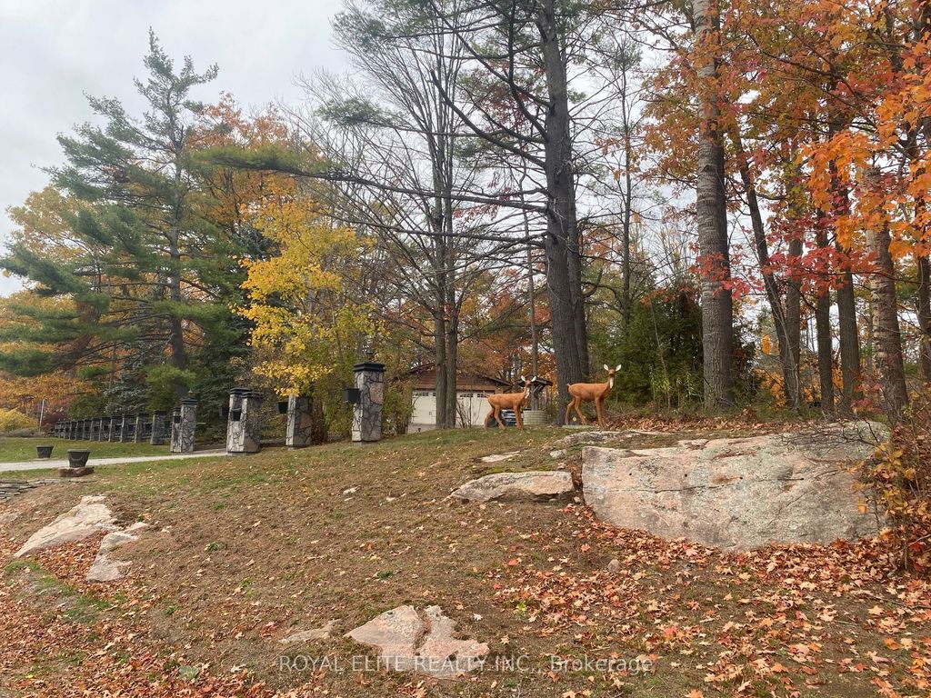 Photo of 2943 County Rd 36 N/A, Trent Lakes, ON K0L 1J0 (MLS # X12583994)