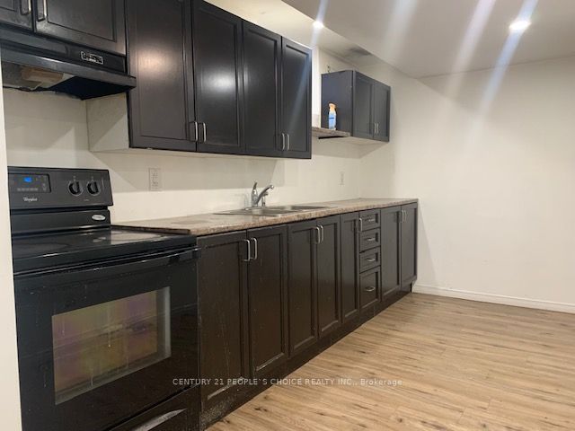 1393 Selkirk Avenue Lower 1