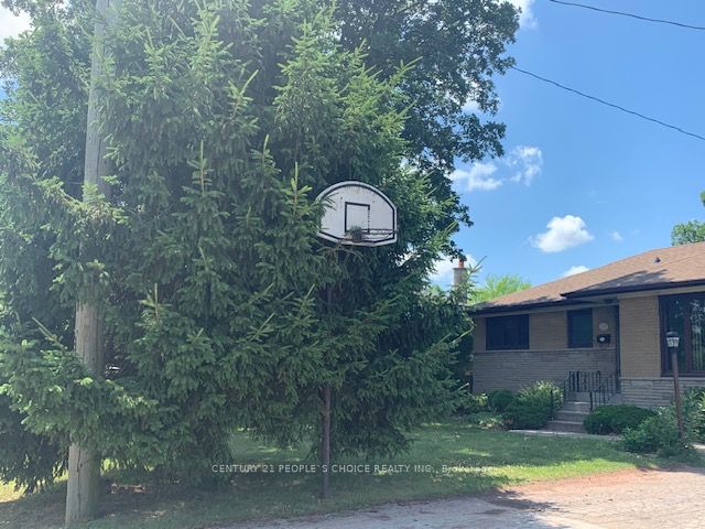 1393 Selkirk Avenue Lower 1