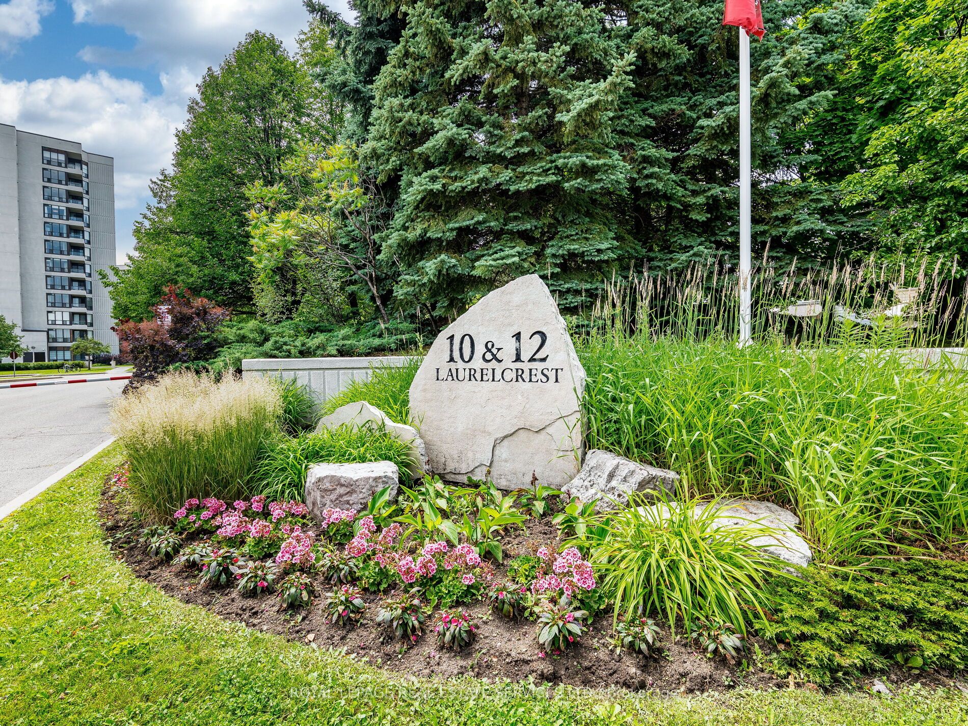 12 Laurelcrest Street 908
