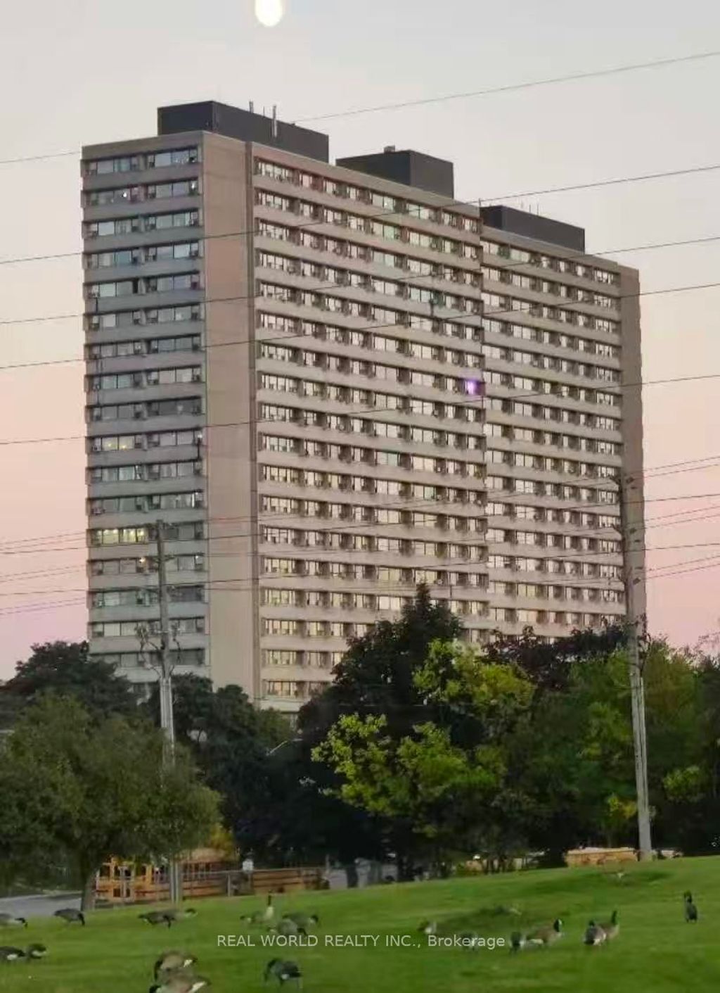 Photo of 100 Leeward Glenway #806, Toronto, ON M3C 2Z1 (MLS # C12481349)