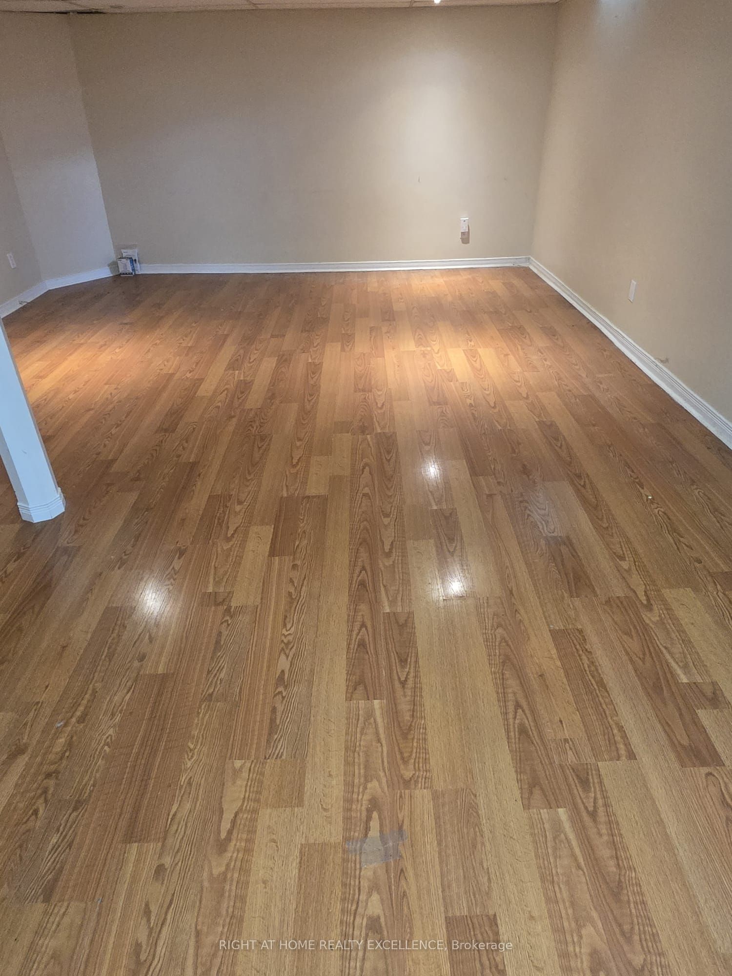 11 Charlton Avenue Basement