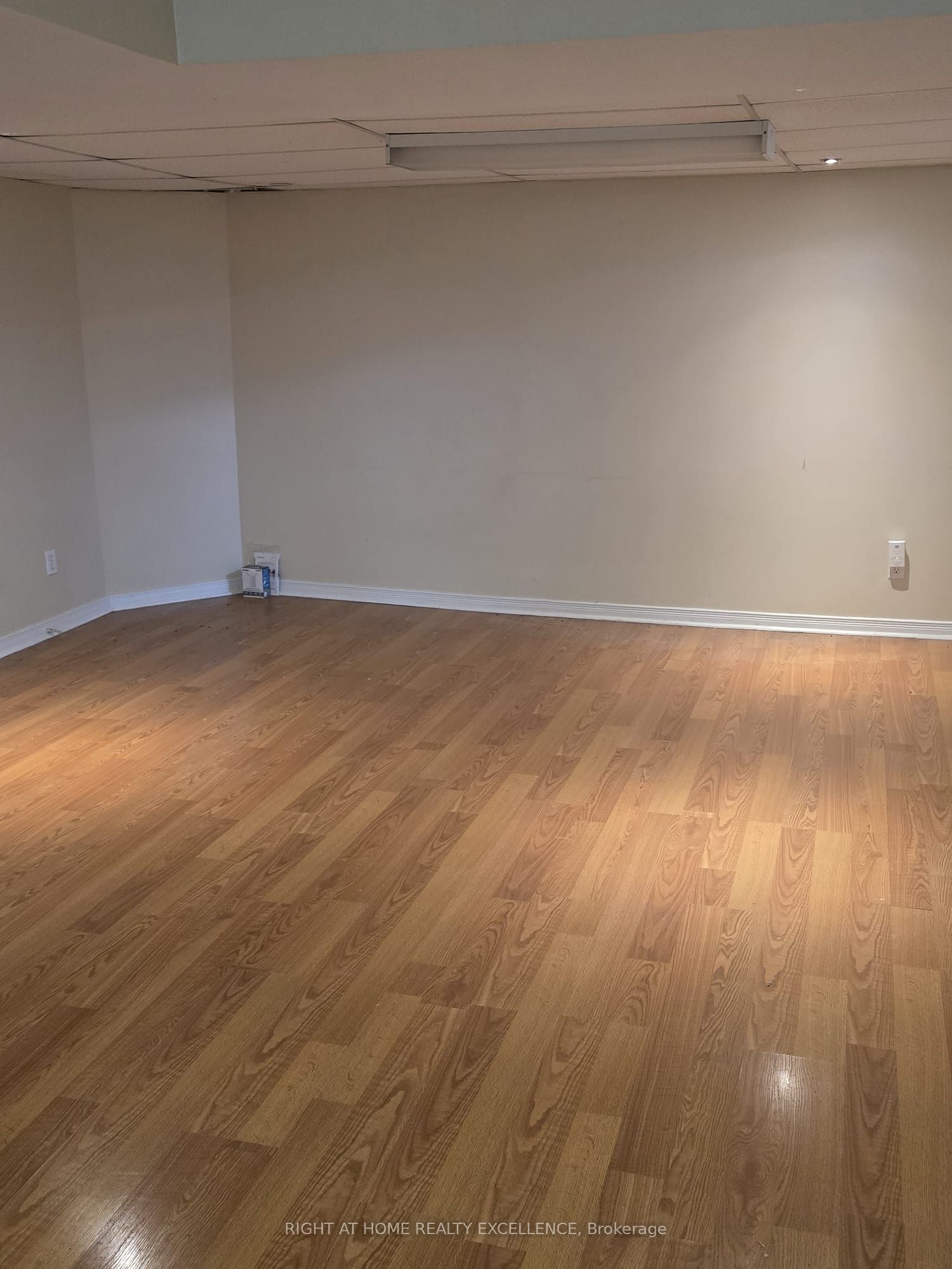 11 Charlton Avenue Basement