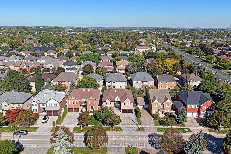 8 Springbrook Drive BSMT