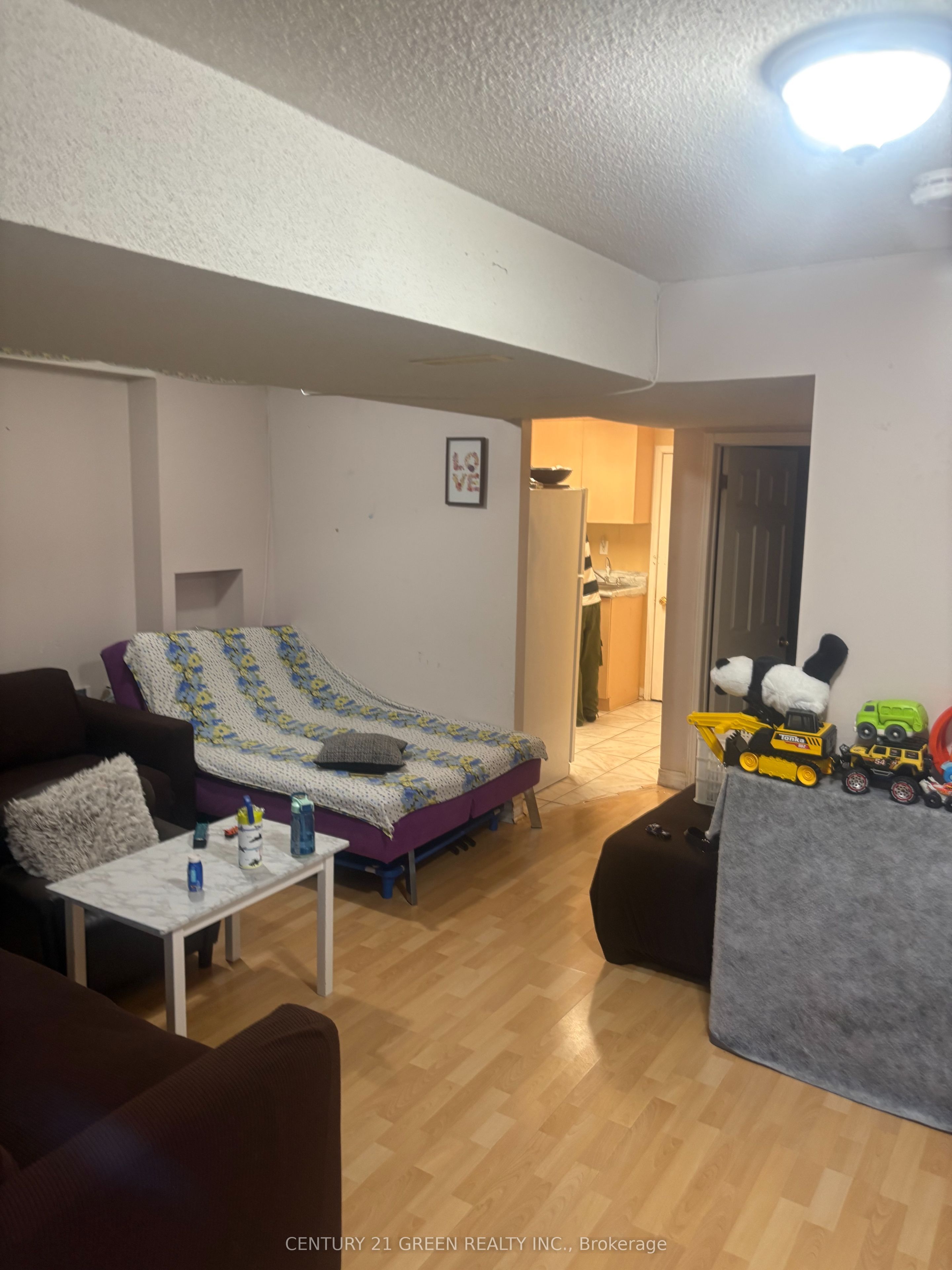 598 Dolly Bird Lane BSMT