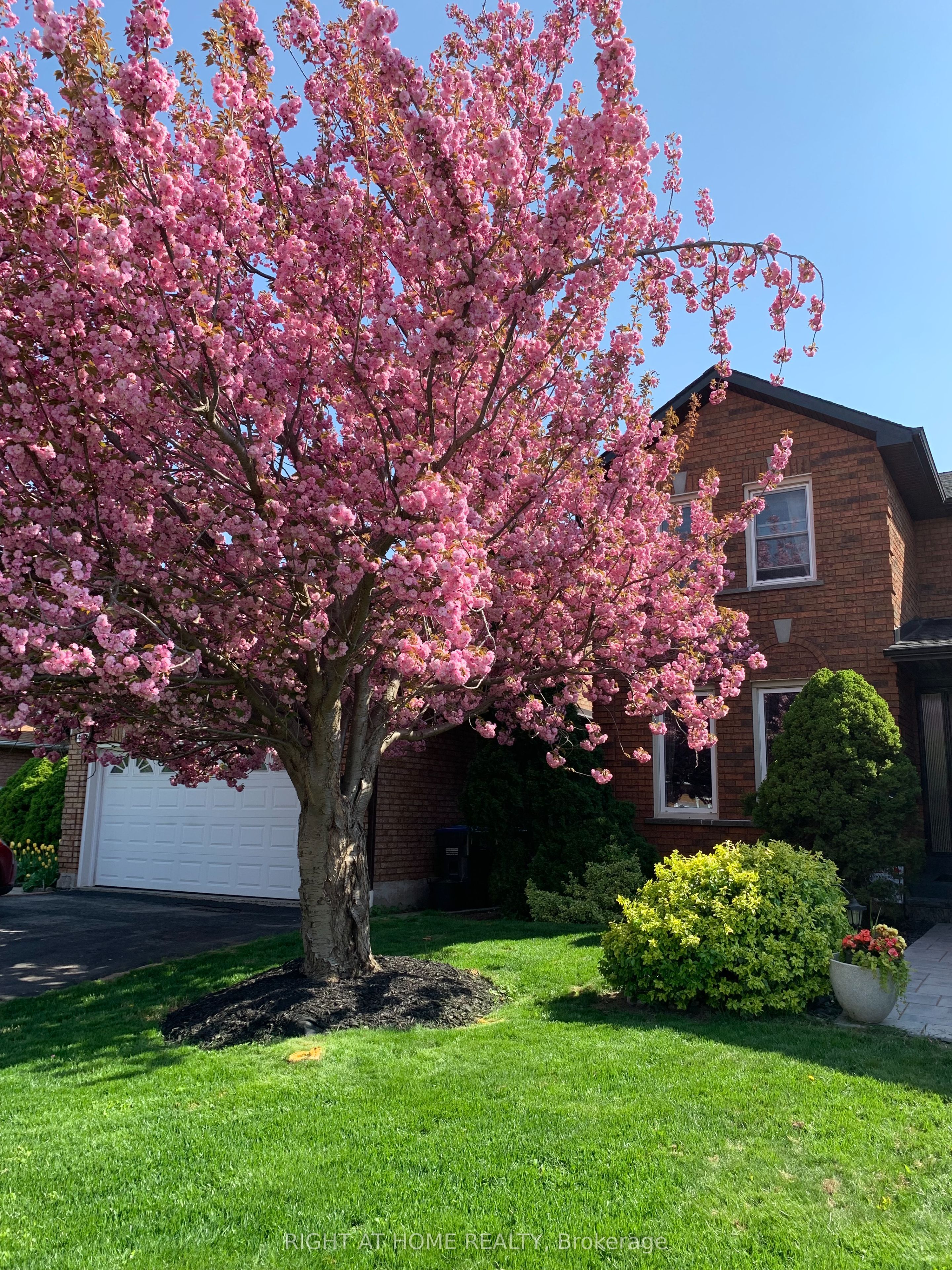4341 Idlewilde Crescent