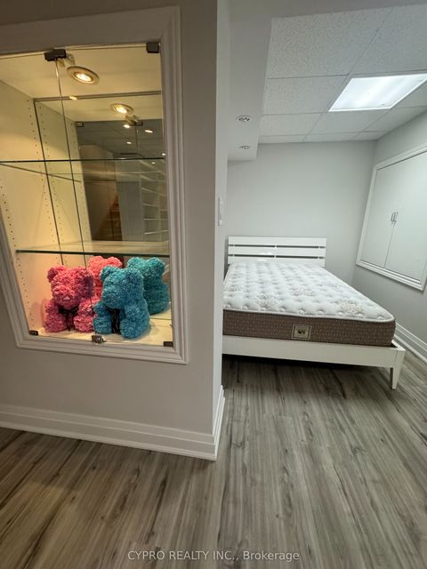 10 Megarry Court Bsmt Richmond Hill ON L4S 2S3