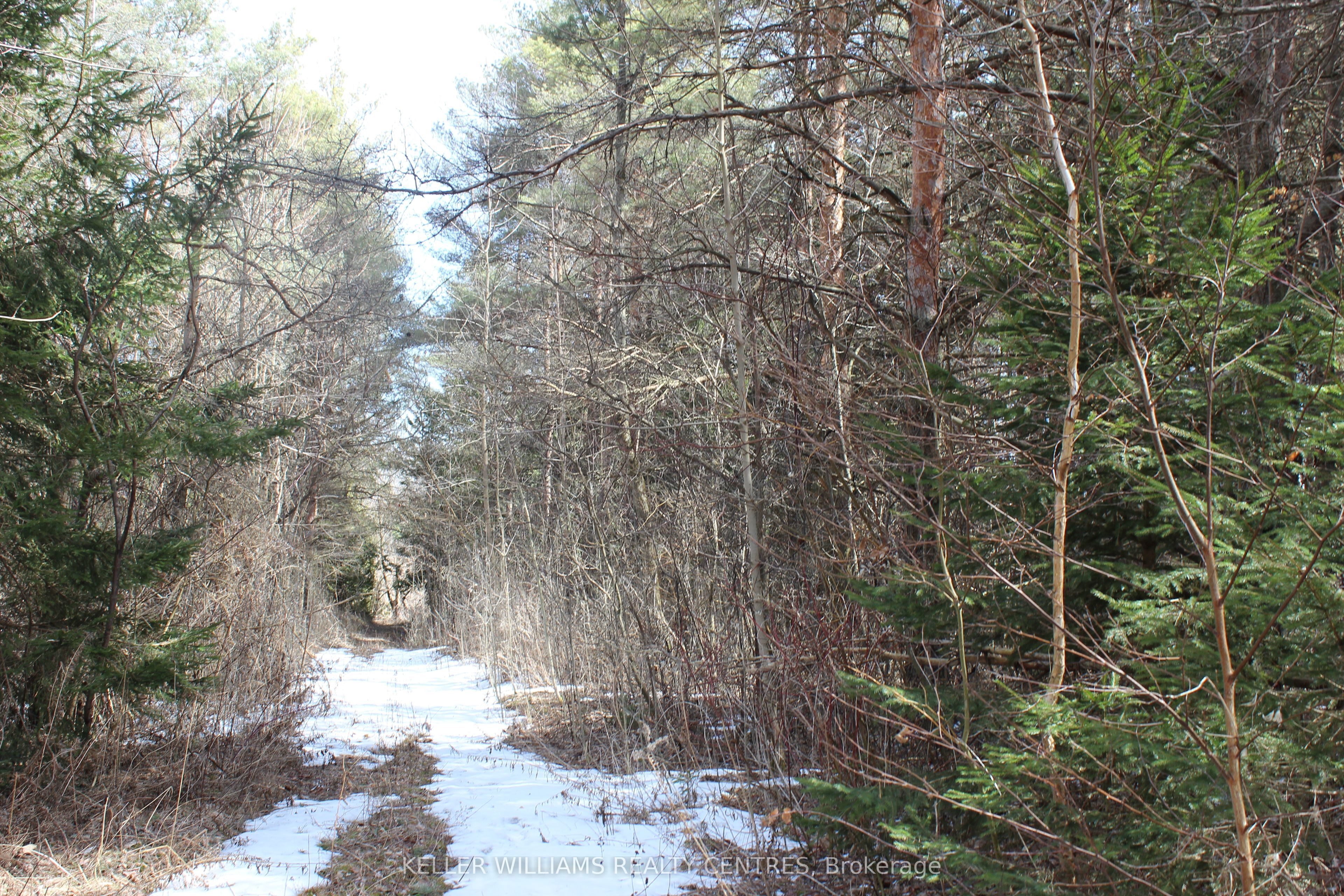 TBA Concession Rd 2 N/A