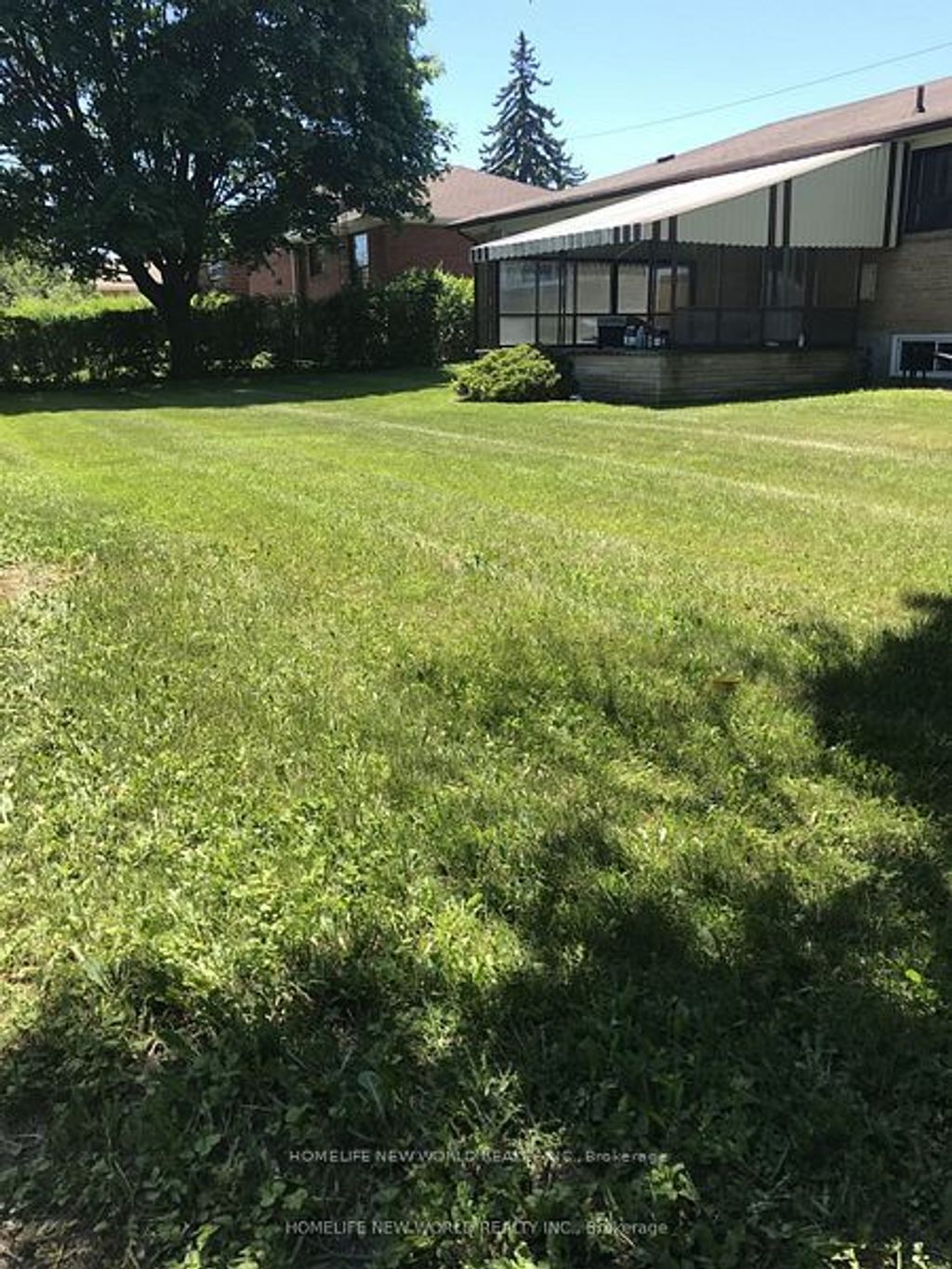 Photo of 203 Goddard Street, Toronto, ON M3H 5E7 (MLS # C12707660)