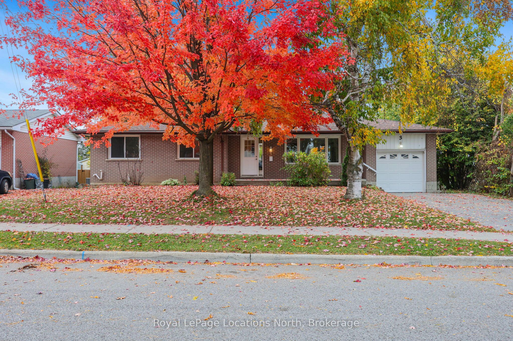 3 Harding Avenue