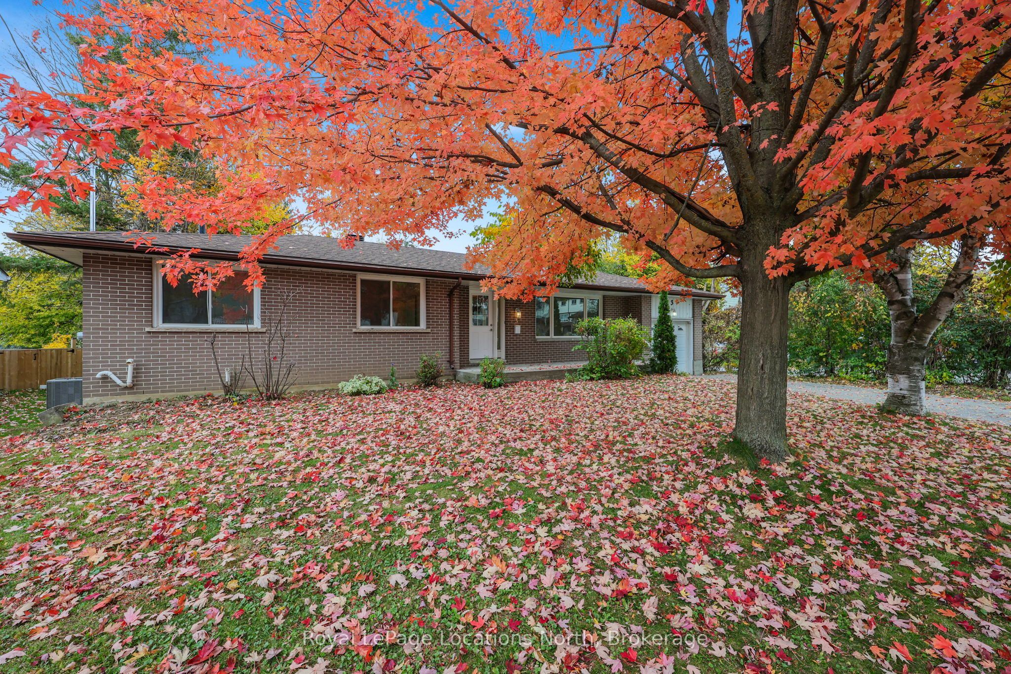 3 Harding Avenue